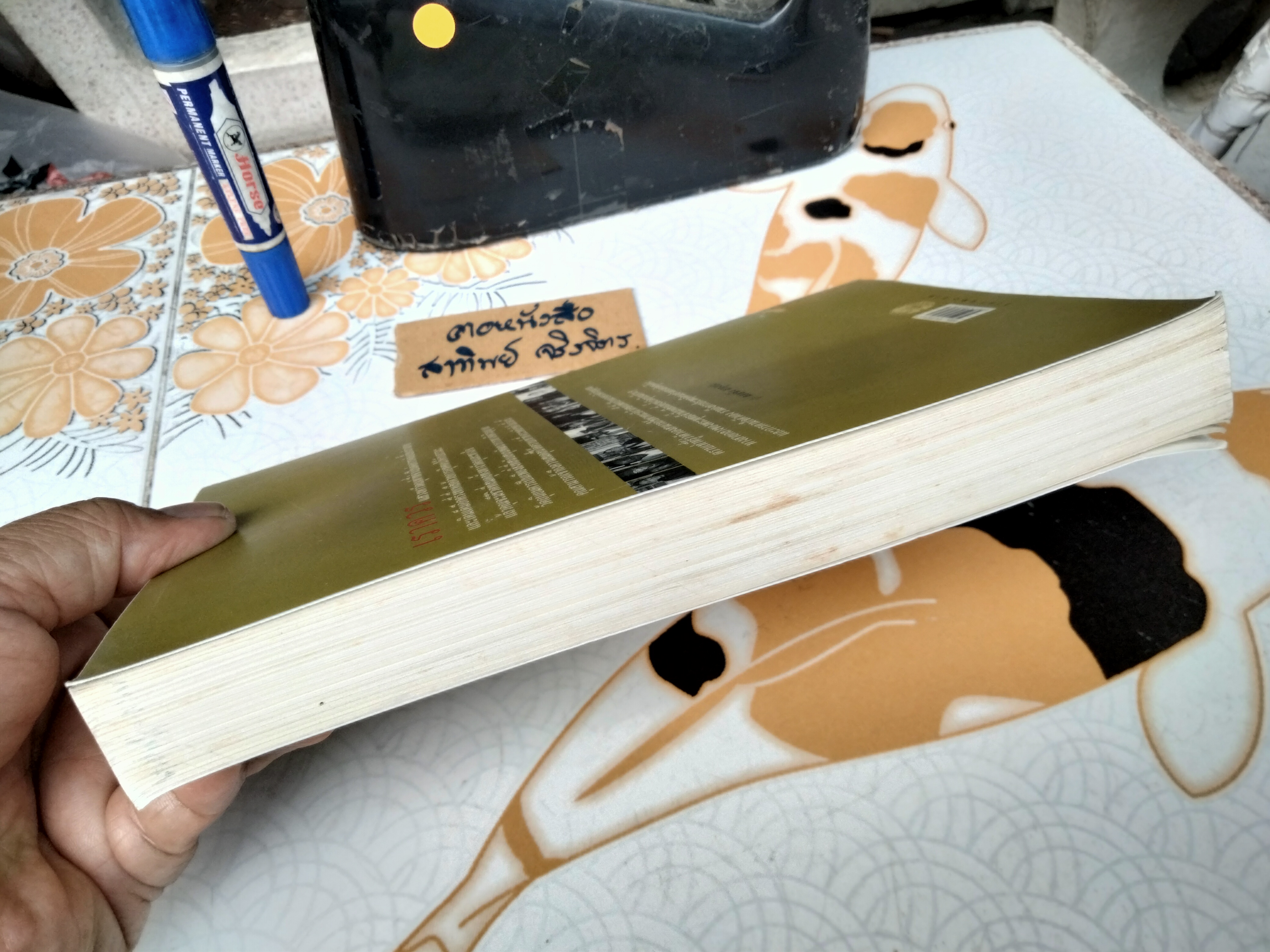 ปัญญาญาณไร้กาลเวลา แซนดี้ จอห์นสัน เขียน ธารา รินศานต์ แปล