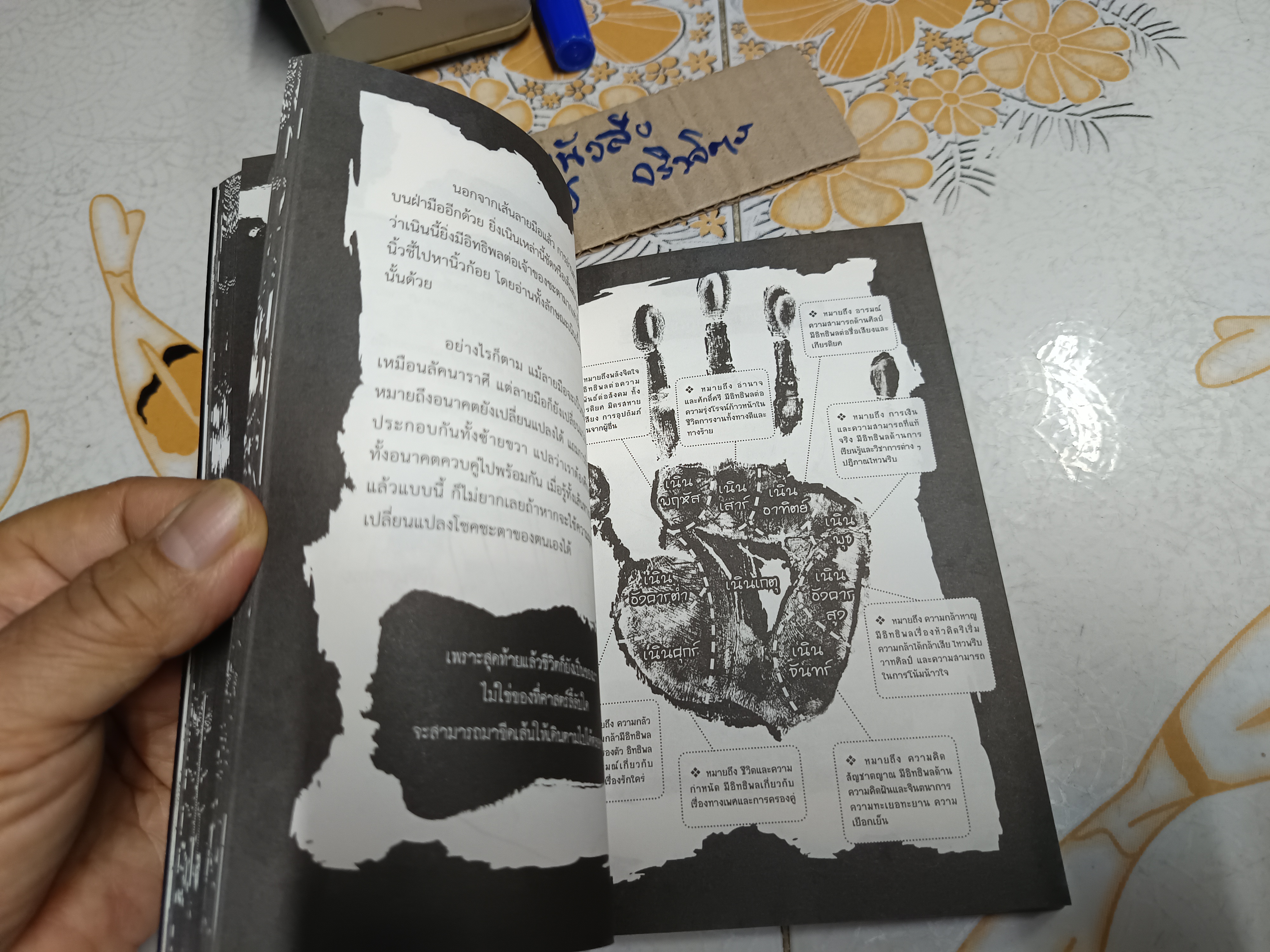 สารานุกรมสีดำ 2 : ศาสตร์อาถรรพ์ต้องสาป by Punica พิมพ์ครั้งแรกพ.ศ 2559