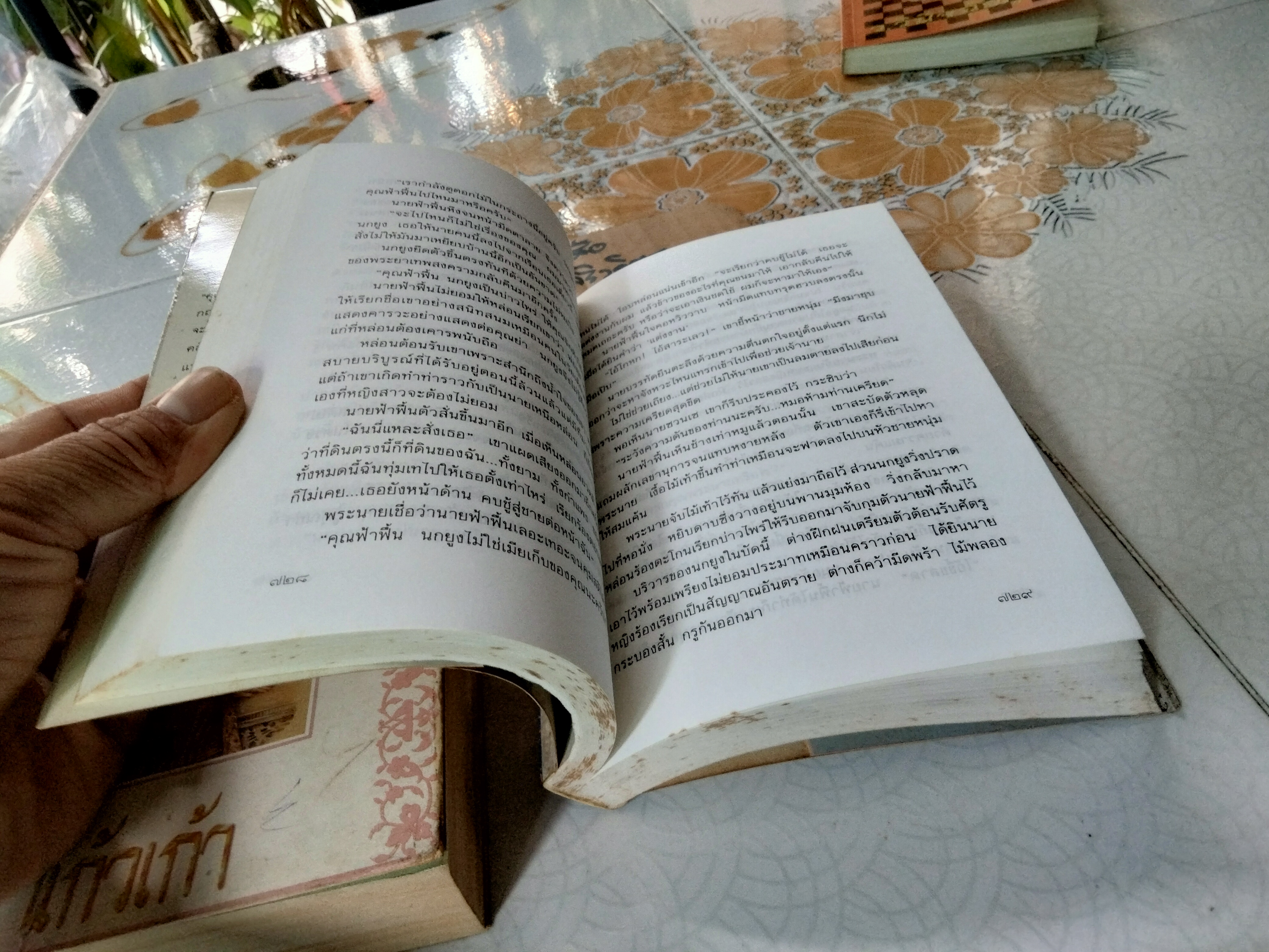 เรือนมยุรา (2 เล่มจบ- พิมพ์คนละครั้ง) แก้วเก้า