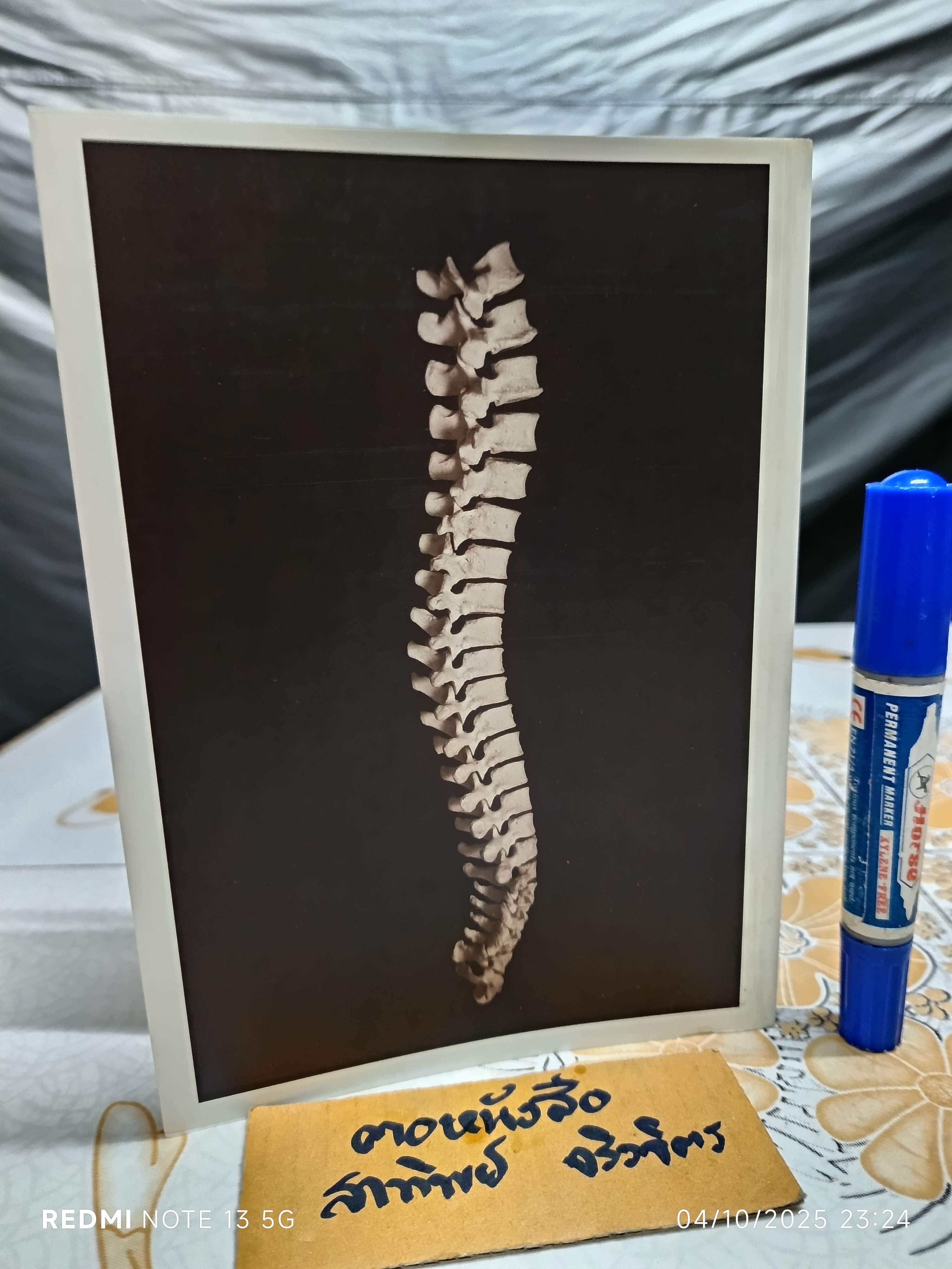 The Body : Photographs of the Human Form , 1994 By William A. Ewing