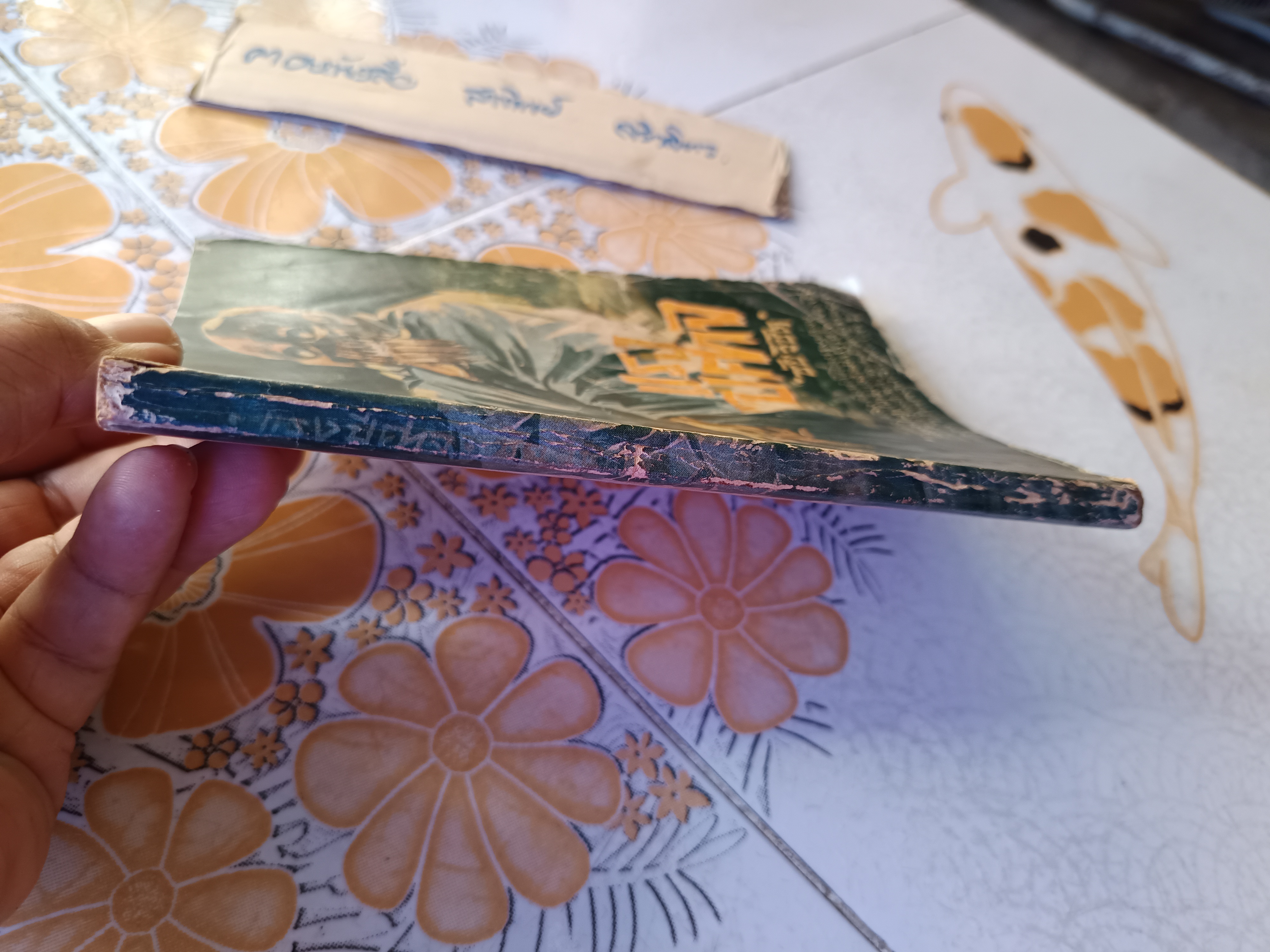 แรงปีศาจ โดย ชัย วิชิต สำนักพิมพ์สยาม พิมพ์ปีพ.ศ 2512 #หนังสือแนวผีๆ