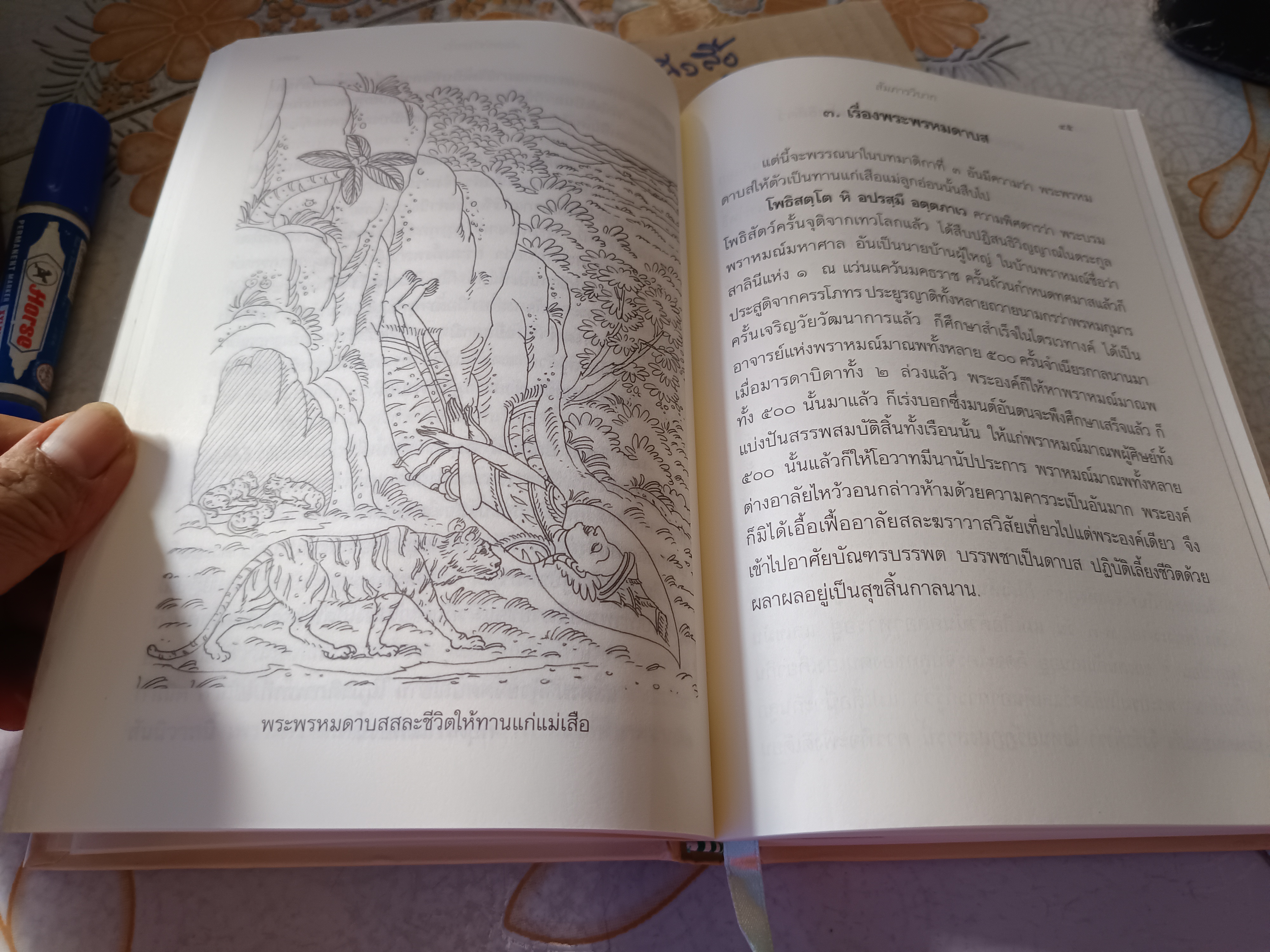 สัมภารวิบาก (ชื่อรอง กว่าจักเป็นพระพุทธเจ้า) โดย พระมหาสมปอง มุทิโต และ อาจารย์สุรพงค์ เทพสุธา (พิมพ์ครั้งที่ 5/2552) **สินค้าหมด**