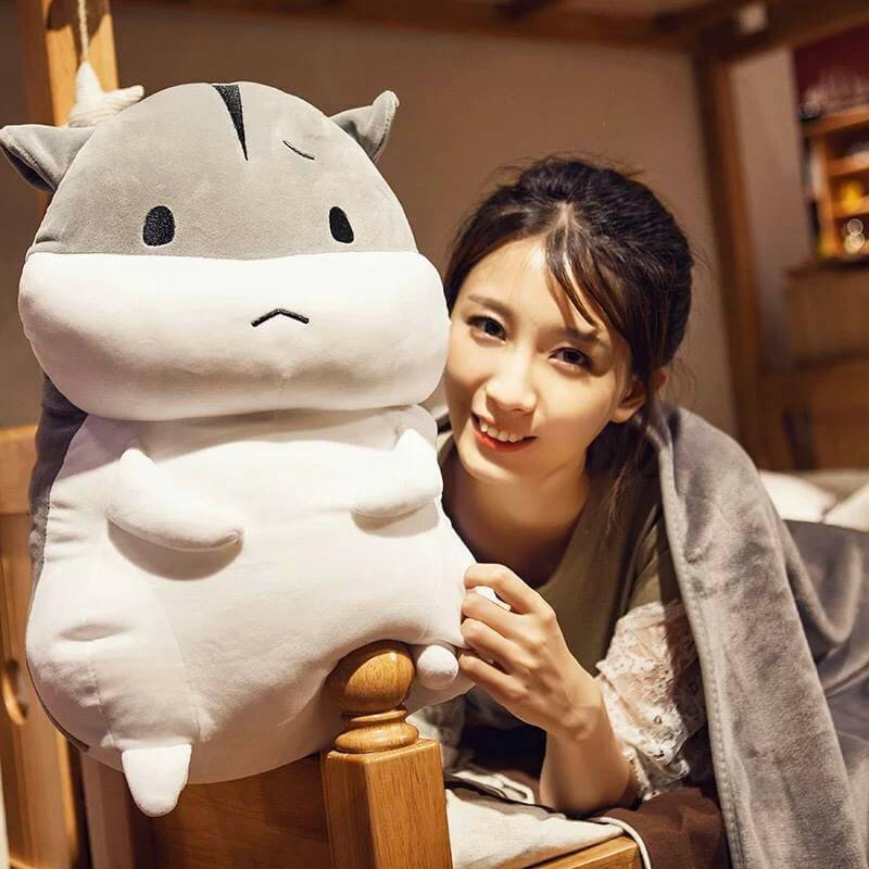 ตุ๊กตาหมอนผ้าห่ม