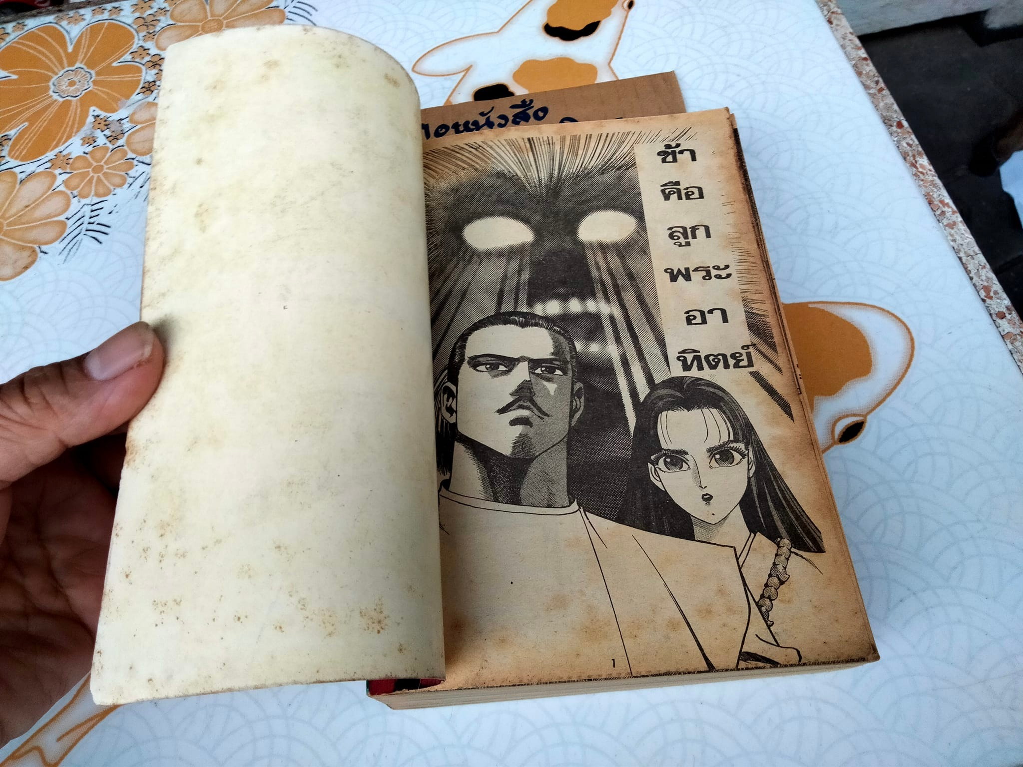 ข้าคือลูกพระอาทิตย์ (เล่มเดียวจบ) สนพ.หมึกจีน