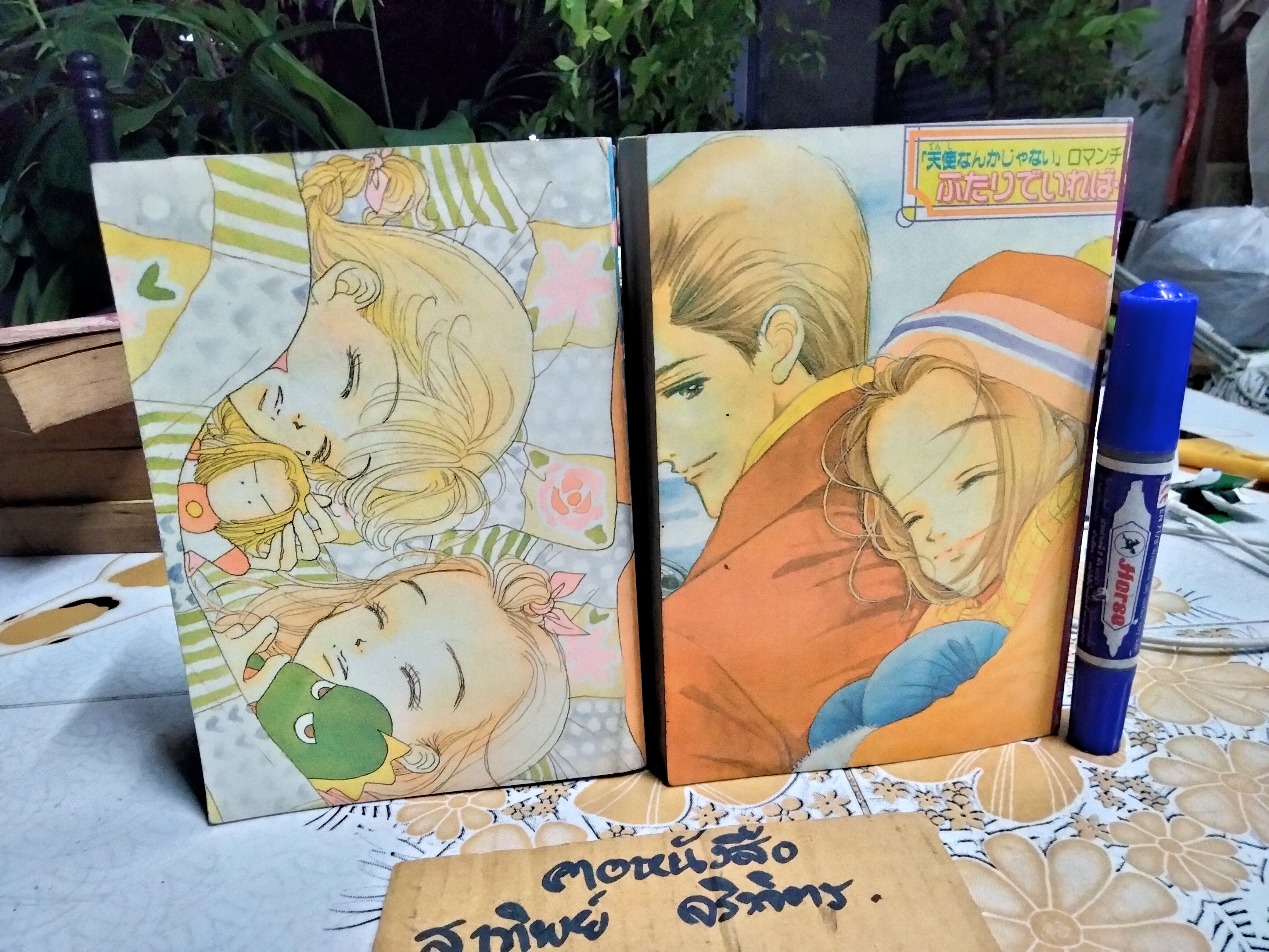 ตลอดเวลามีเธอเพียงคนเดียว (2 เล่มจบ) Ai Yazawa **สินค้าหมด**