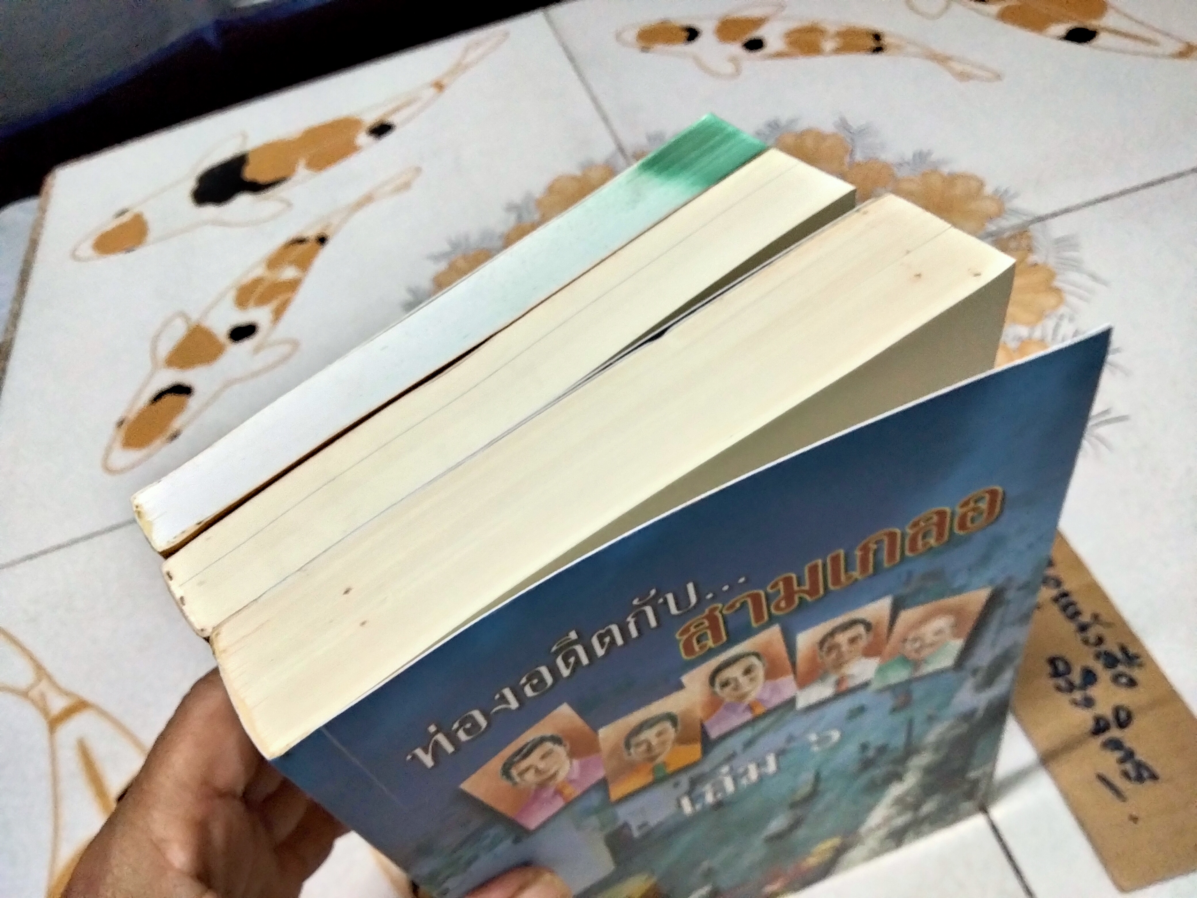 ท่องอดีตกับสามเกลอ เล่ม 4, 5 และ 6 (ขายรวม 3 เล่ม ไม่แยก) เขียนโดย พล.ต.ต.พีระพงศ์ ดามาพงศ์