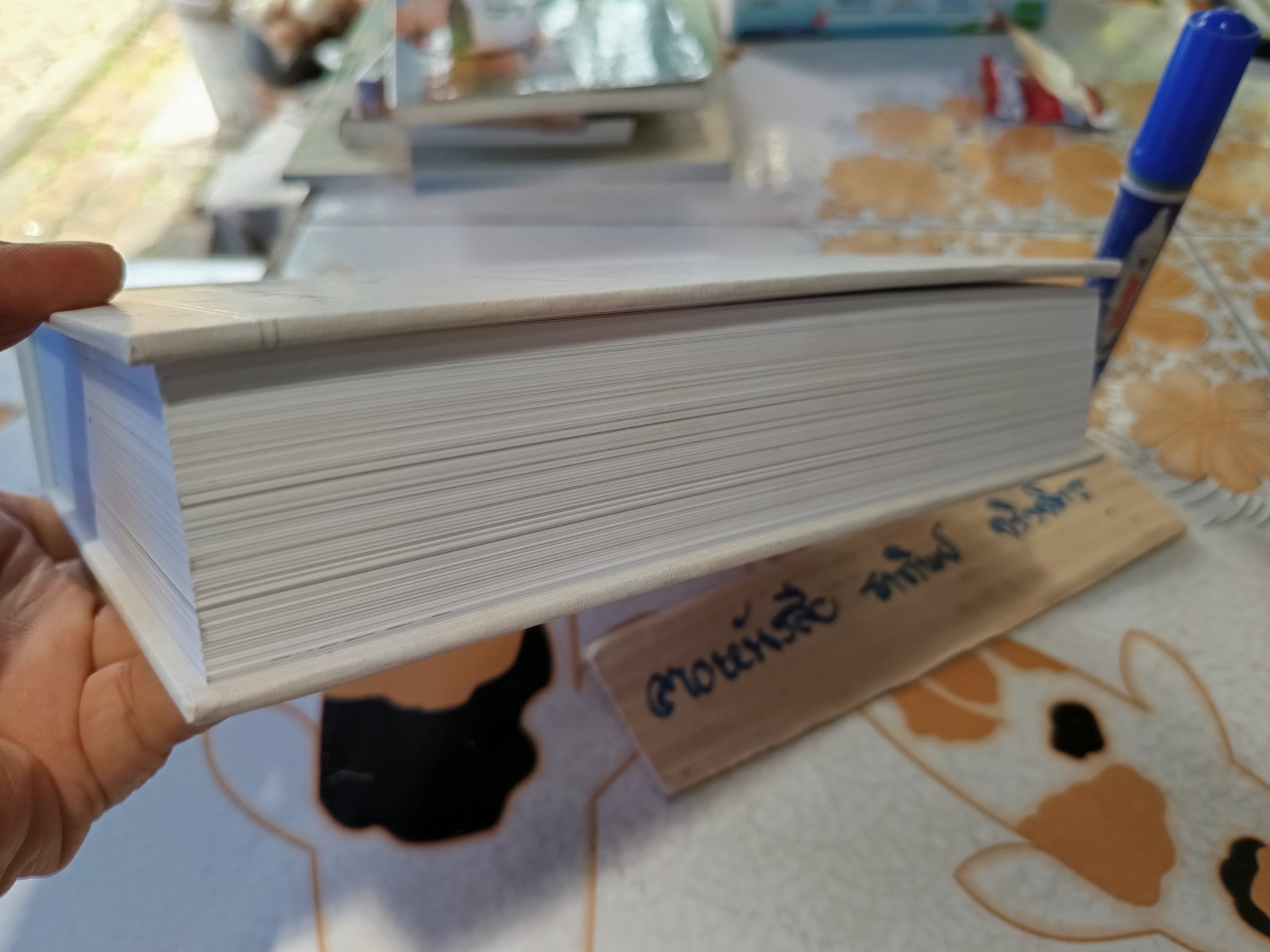 คนเดินตรอก ฉบับบันทึกความทรงจำ อนุสรณ์พิธีพระราชทานเพลิงศพ ดร.วีรพงษ์ รามางกูร