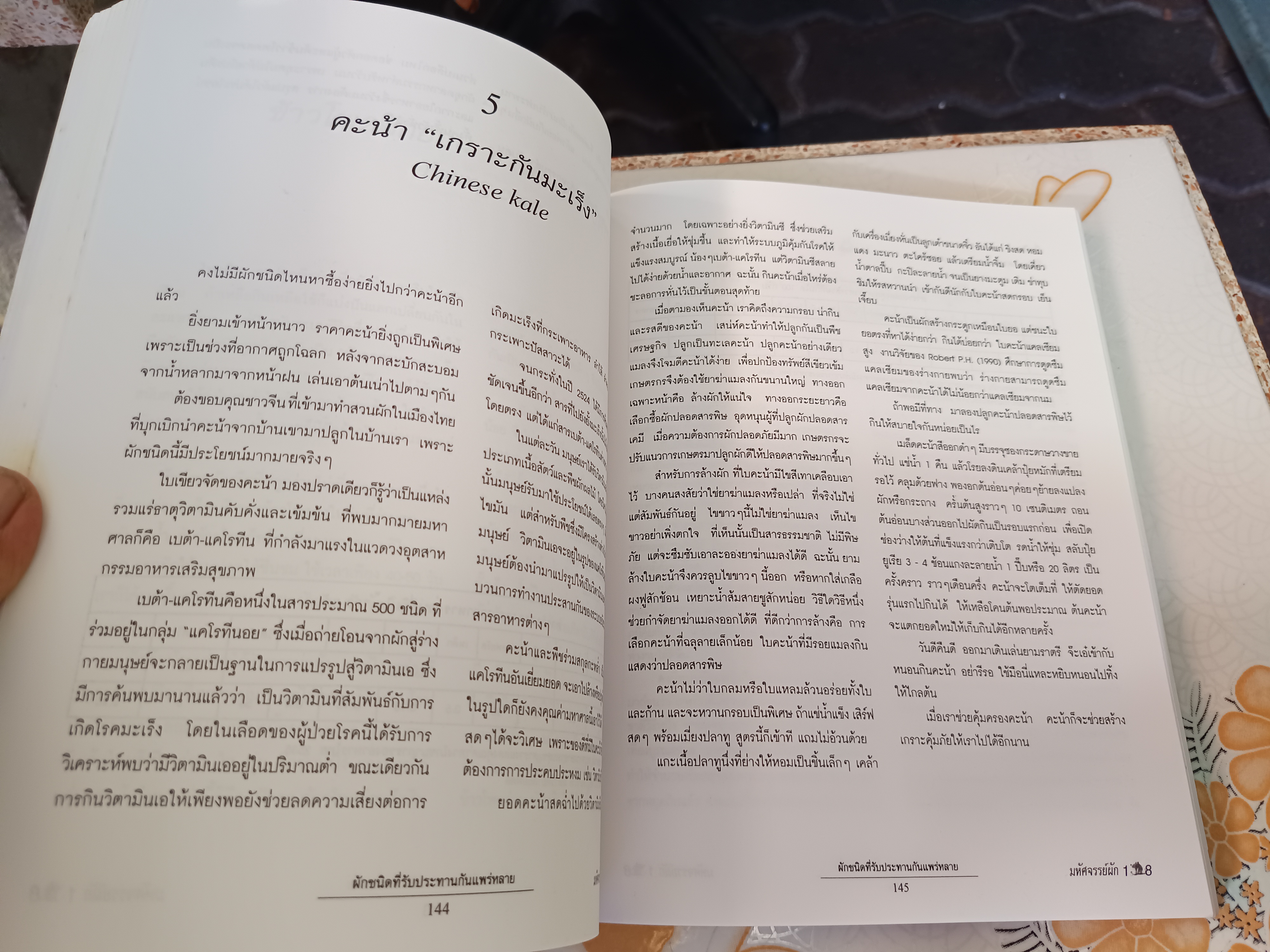 มหัศจรรย์ผัก 108