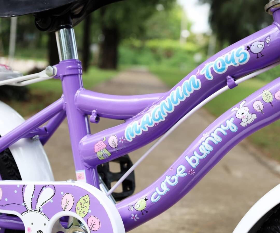 จักรยานสาวน้อย มีตะกร้า