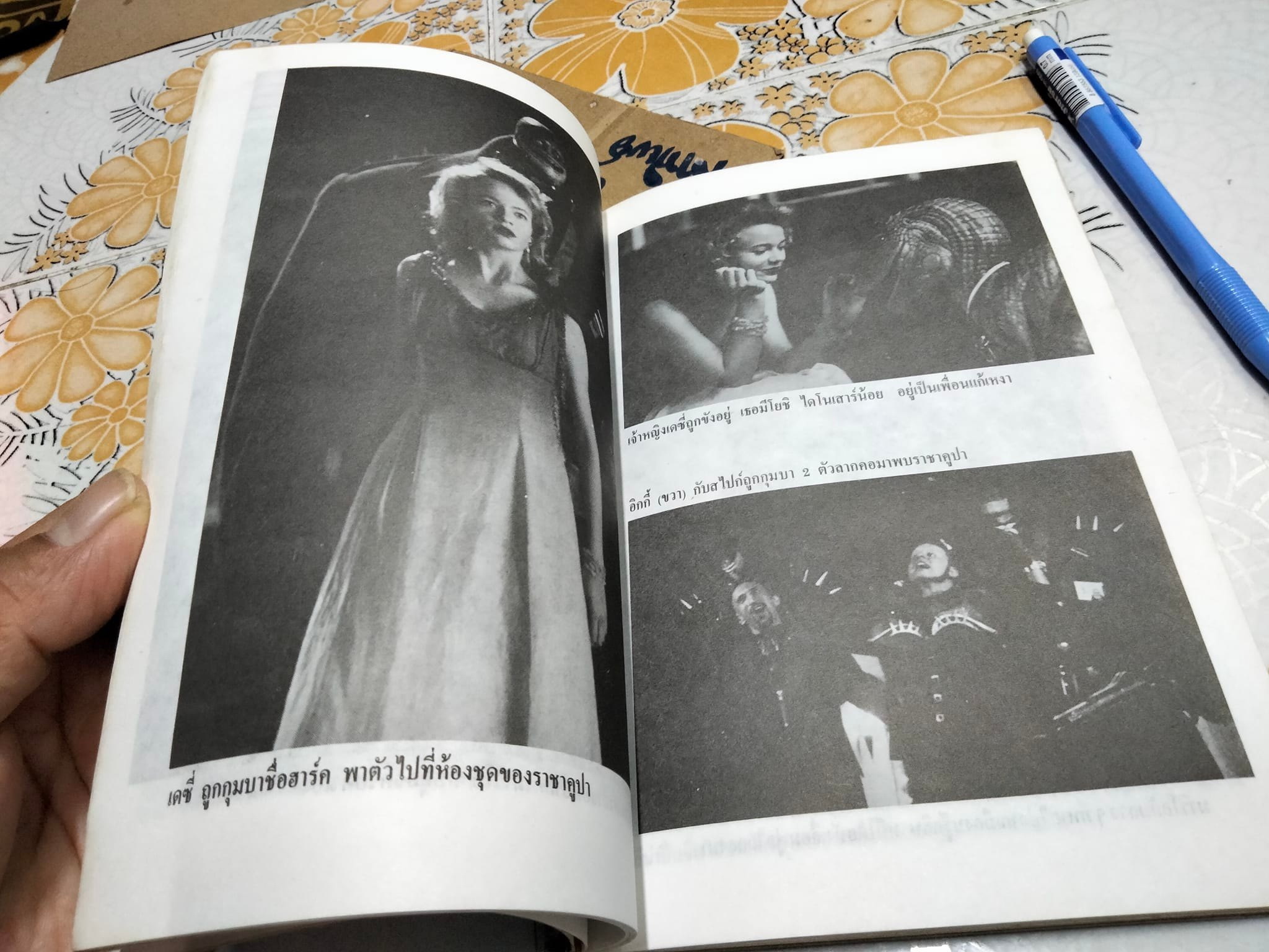 พี่น้องซูเปอร์มาริโอ SUPER MARIO BROS. ทอดด์ สตราสเสอร์ เขียน - "สุริยนนท์" แปล