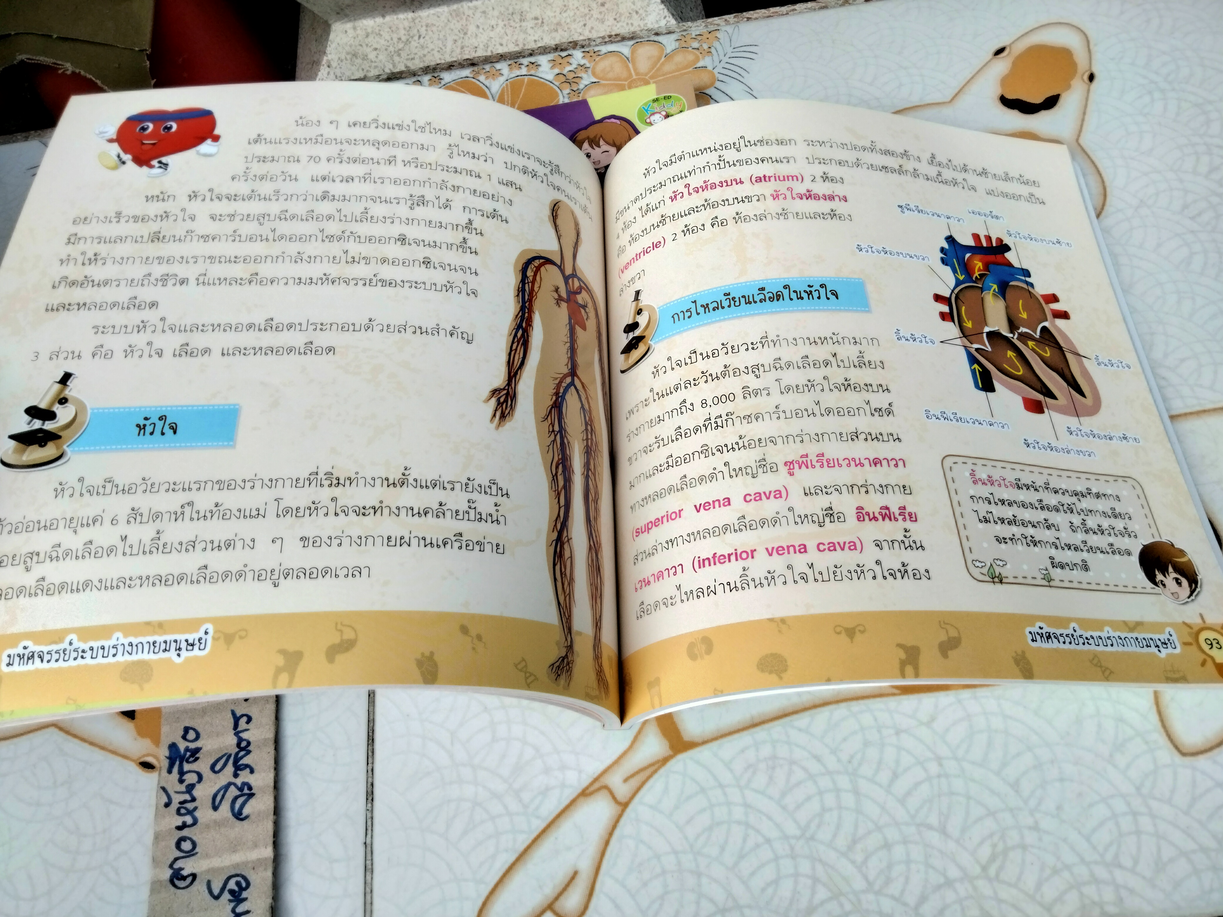 มหัศจรรย์ระบบร่างกายมนุษย์ Amazing Human Body - พ.ญ. ชัญวลี ศรีสุโข : หนังสือความรู้อิงหลักสูตรตรงกับกลุ่มสาระวิชาวิทยาศาสตร์ของ สพฐ.