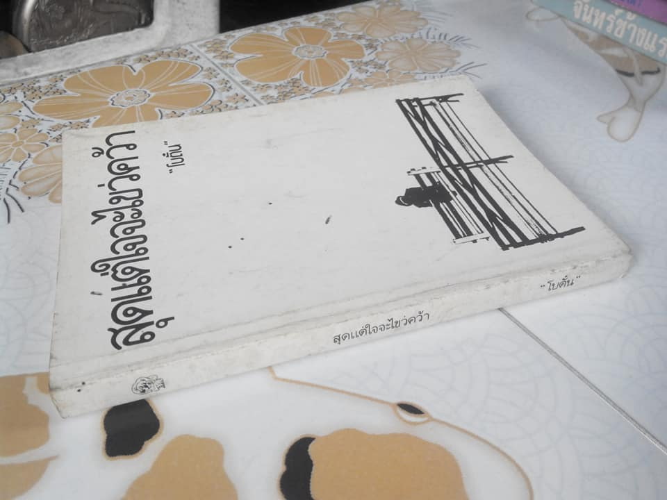 สุดแต่ใจจะไขว่คว้า โดย โบตั๋น **ขายแล้ว**