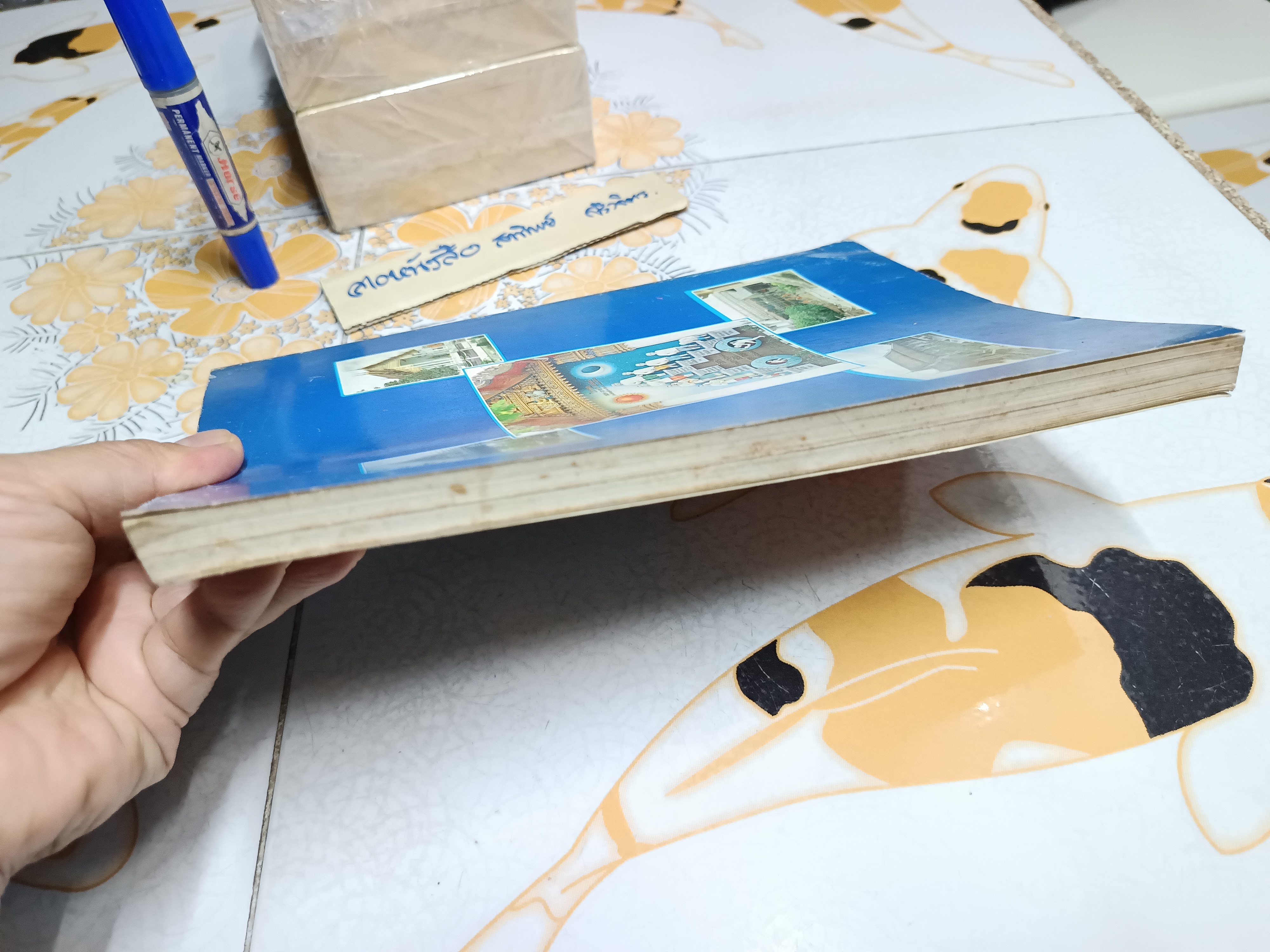 ประวัติ วัดสุนทรธรรมทาน (แค) นางเลิ้ง กับพระราชธรรมวิจารณ์ (ธูป เขมสิริ)