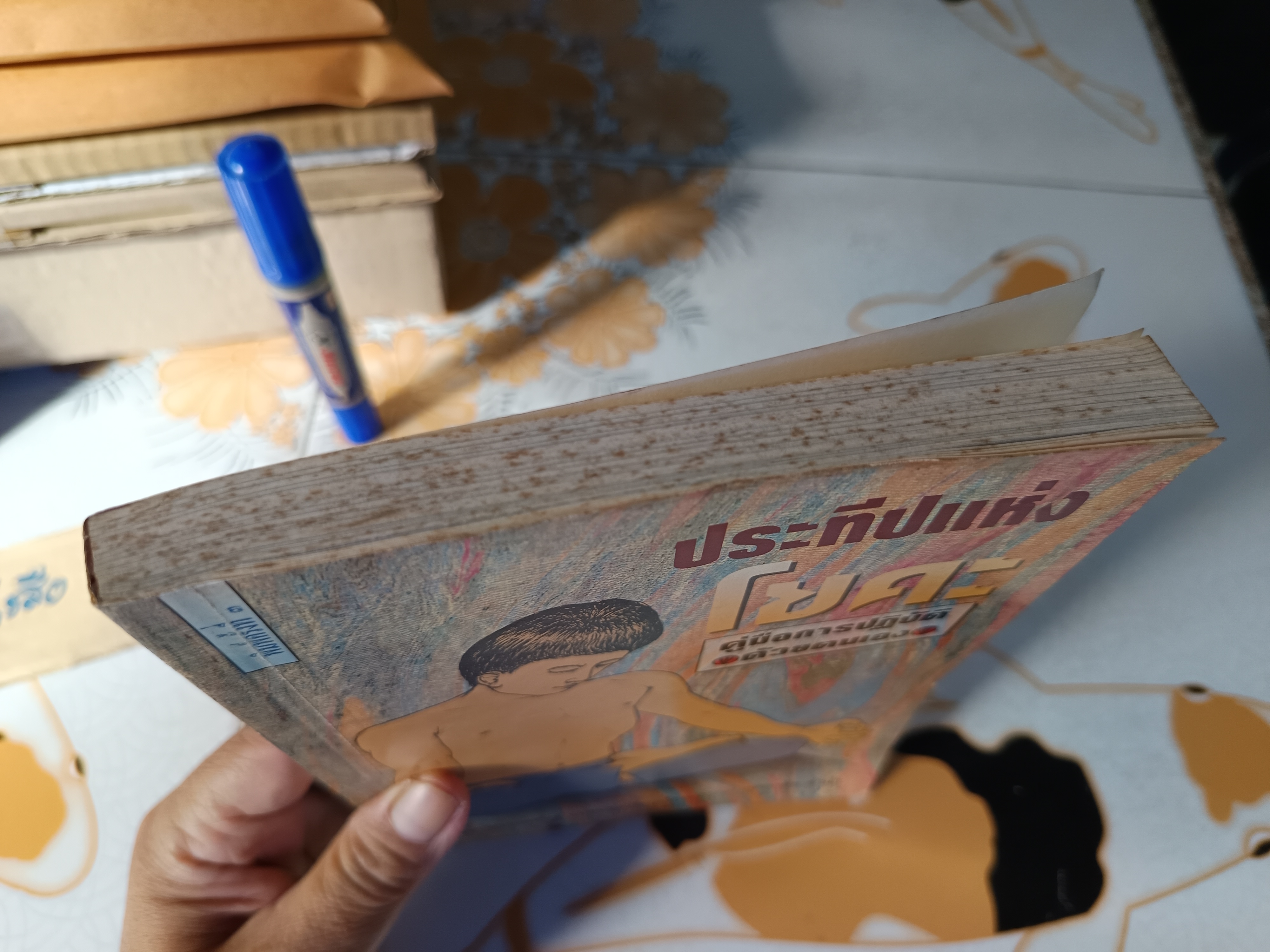 ประทีปแห่งโยคะ : คู่มือการปฏิบัติด้วยตนเอง เอกไชย พรรณเชษฐ์ แปลและเรียบเรียง พิมพ์ 3/2536 สำนักพิมพ์มูลนิธิโกมลคีมทอง