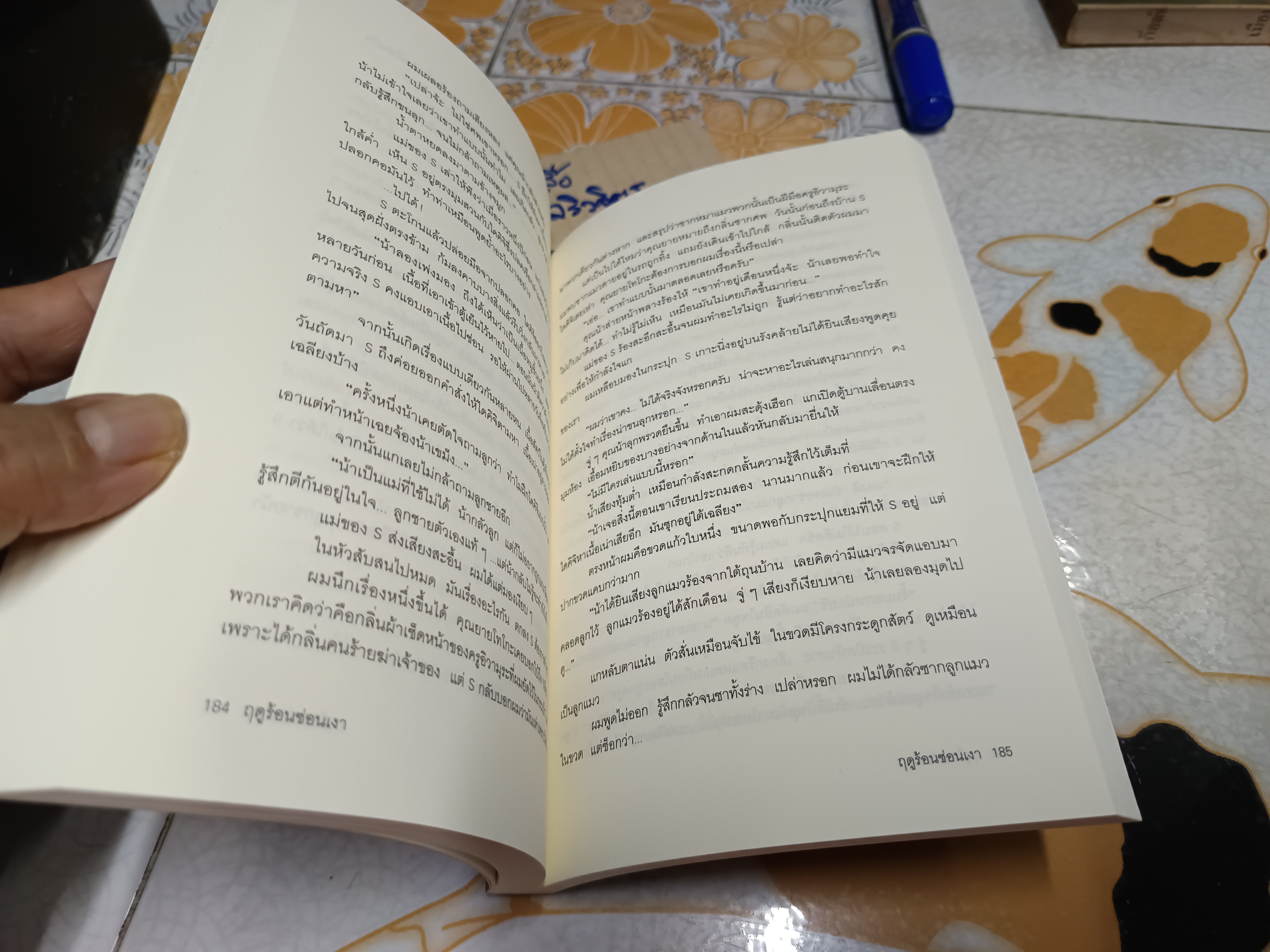 ฤดูร้อนซ่อนเงา มิจิโอะ ซูสุเกะ เขียน พรพิรุณ กิจสมเจตน์ แปล JBook Suspense พิมพ์ครั้งที่ 1 กันยายน 2552 **สินค้าหมด**