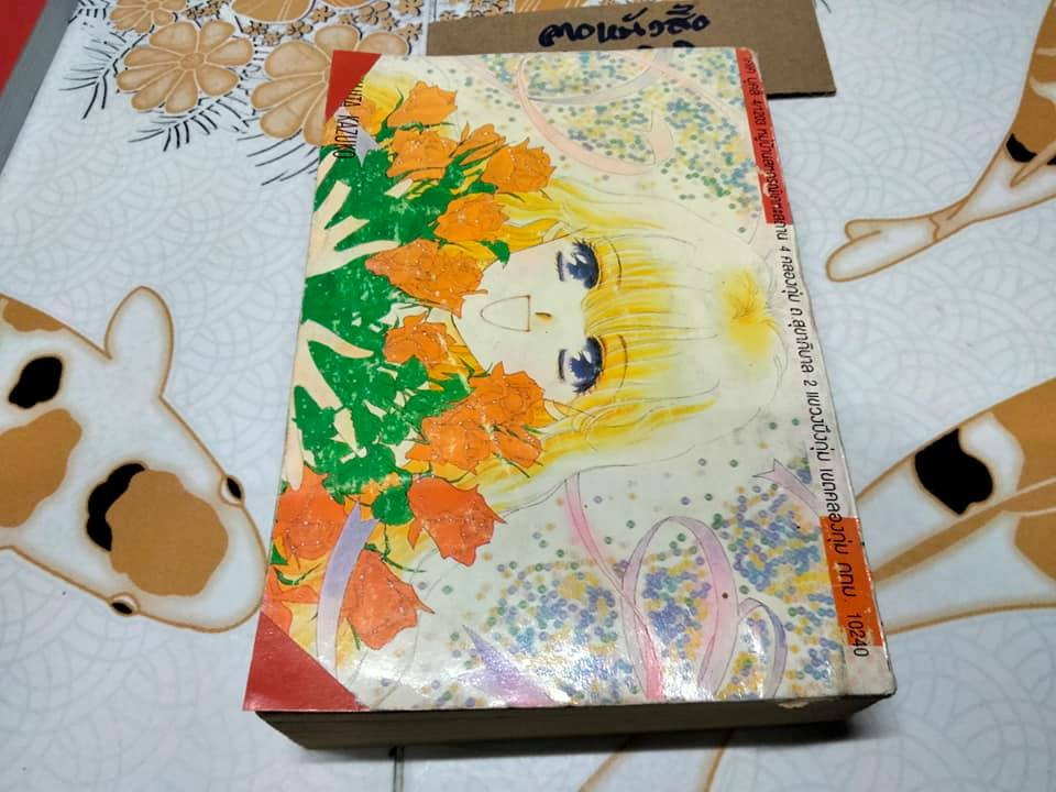 สาวเฮ้วอย่างเธอจะขอเฮี้ยนให้สะใจ (เล่มเดียวจบ) Fujita Kazuko การ์ตูน เคเค