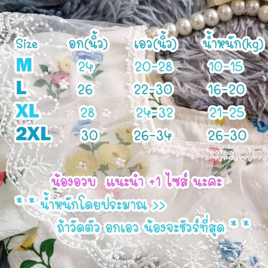 ชุดไทยเด็กหญิง setเสื้อกับโจง โทนฟ้า