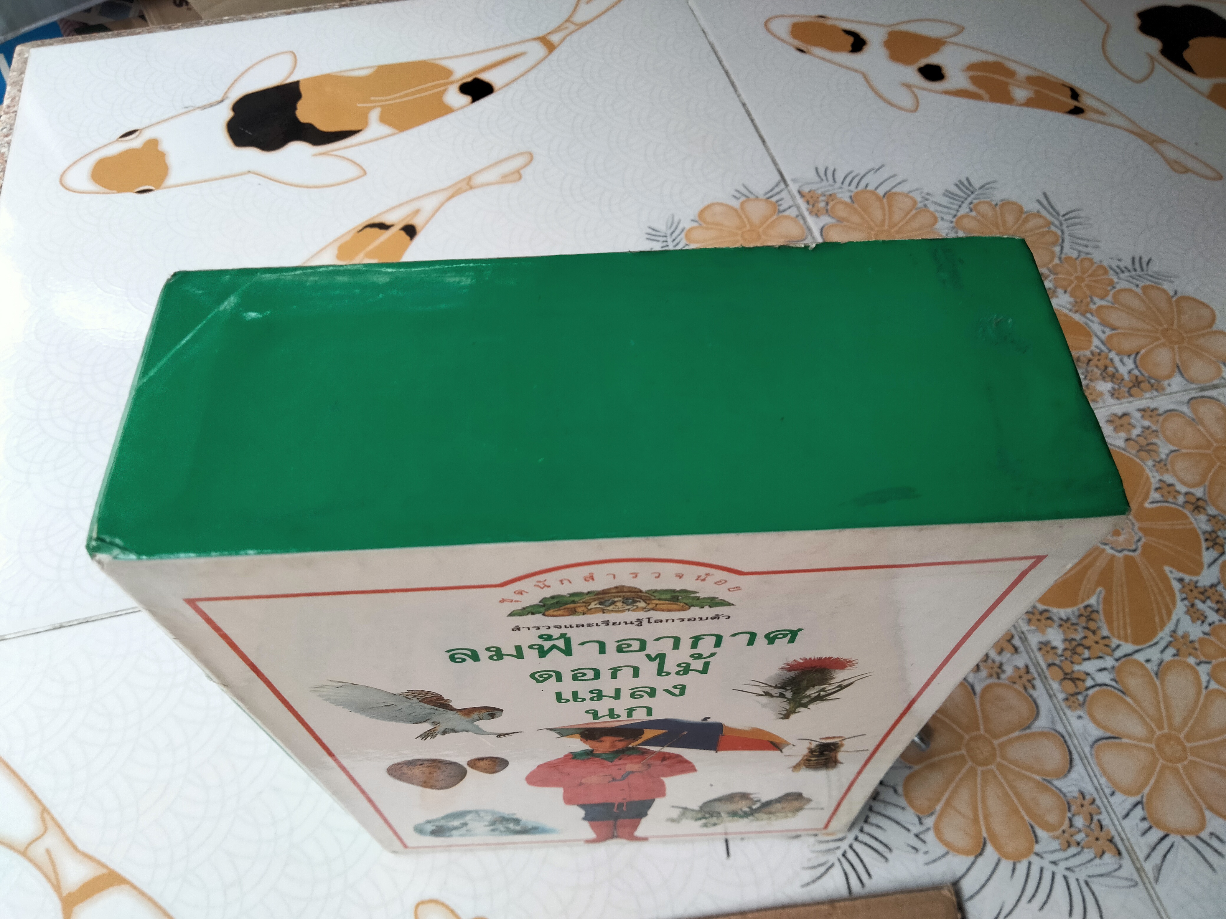 หนังสือชุดนักสำรวจน้อย-ลมฟ้าอากาศ, ดอกไม้, แมลง ,นก (Boxset) **สินค้าหมด**