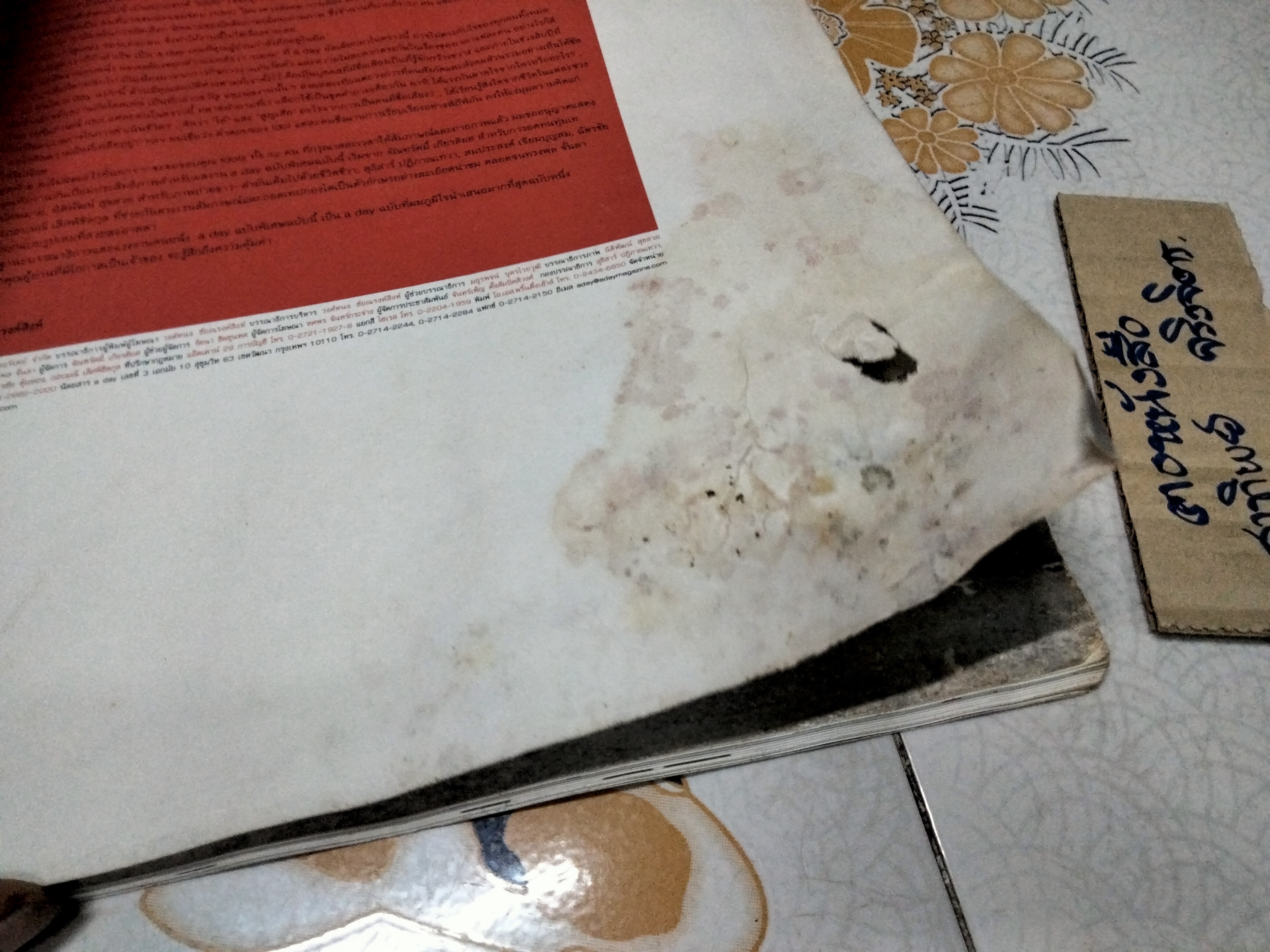 นิตยสาร a day special ฉบับ idols หน้าปก เบิร์ด ธงไชย (ตำหนิ หนังสือโดนน้ำ มีคราบรา)