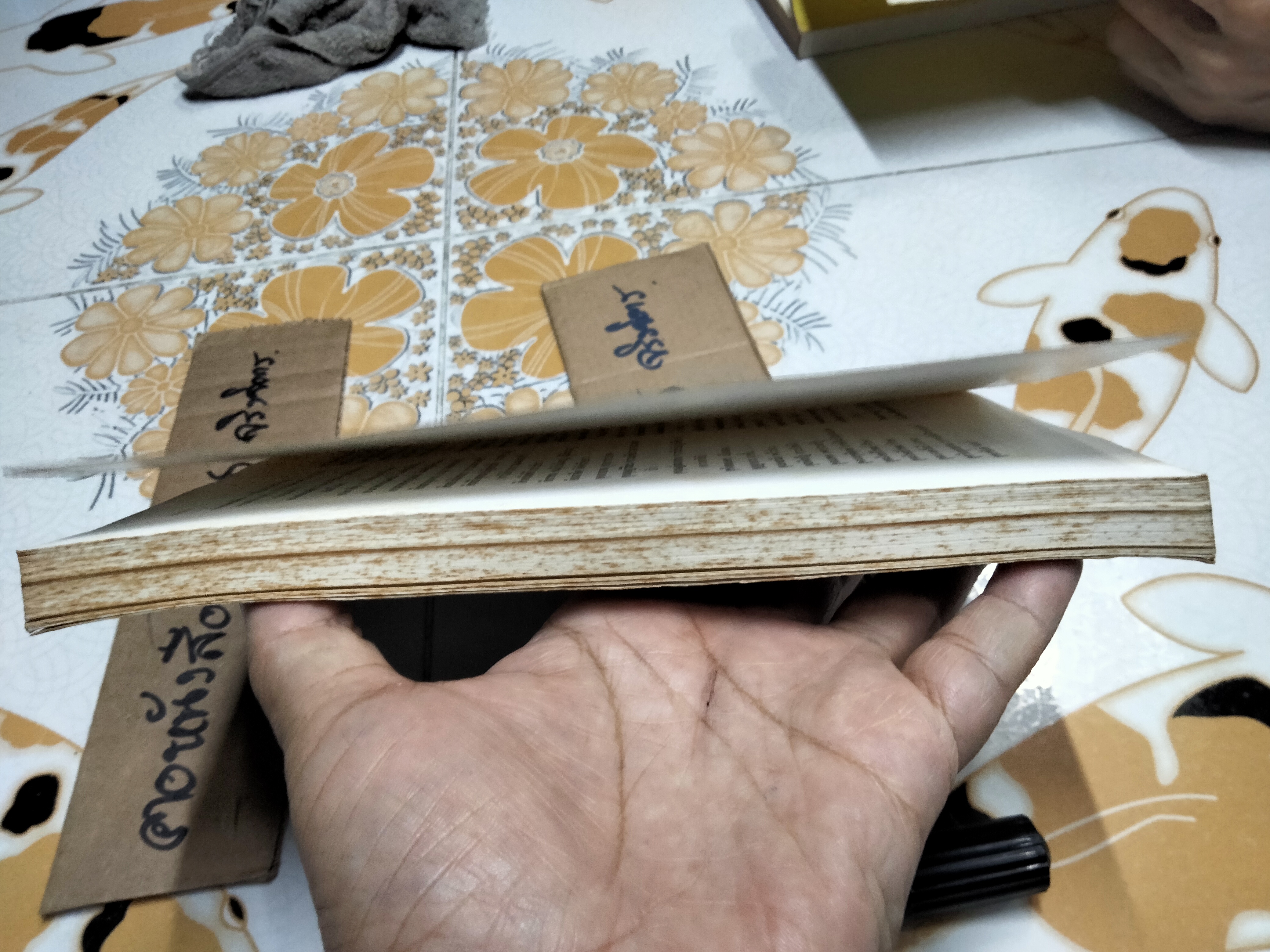 หนังสือ พุทธประวัติทัศนศึกษา นิพนธ์ ของ พระธรรมโกศาจารย์ ราชบัณฑิต -มีหน้าชำรุด 1 หน้า