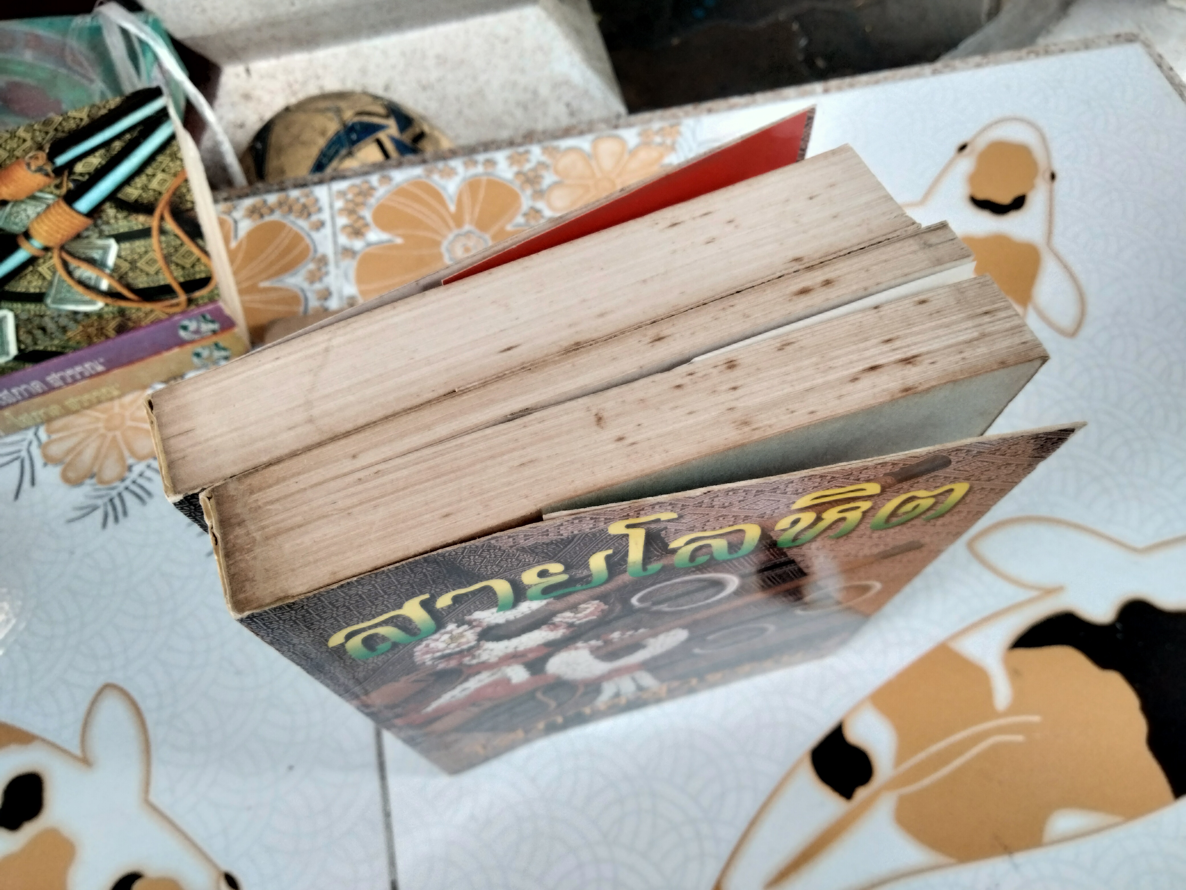 สายโลหิต (2 เล่มจบ-ปกอ่อน) - โสภาค สุวรรณ **สินค้าหมด**