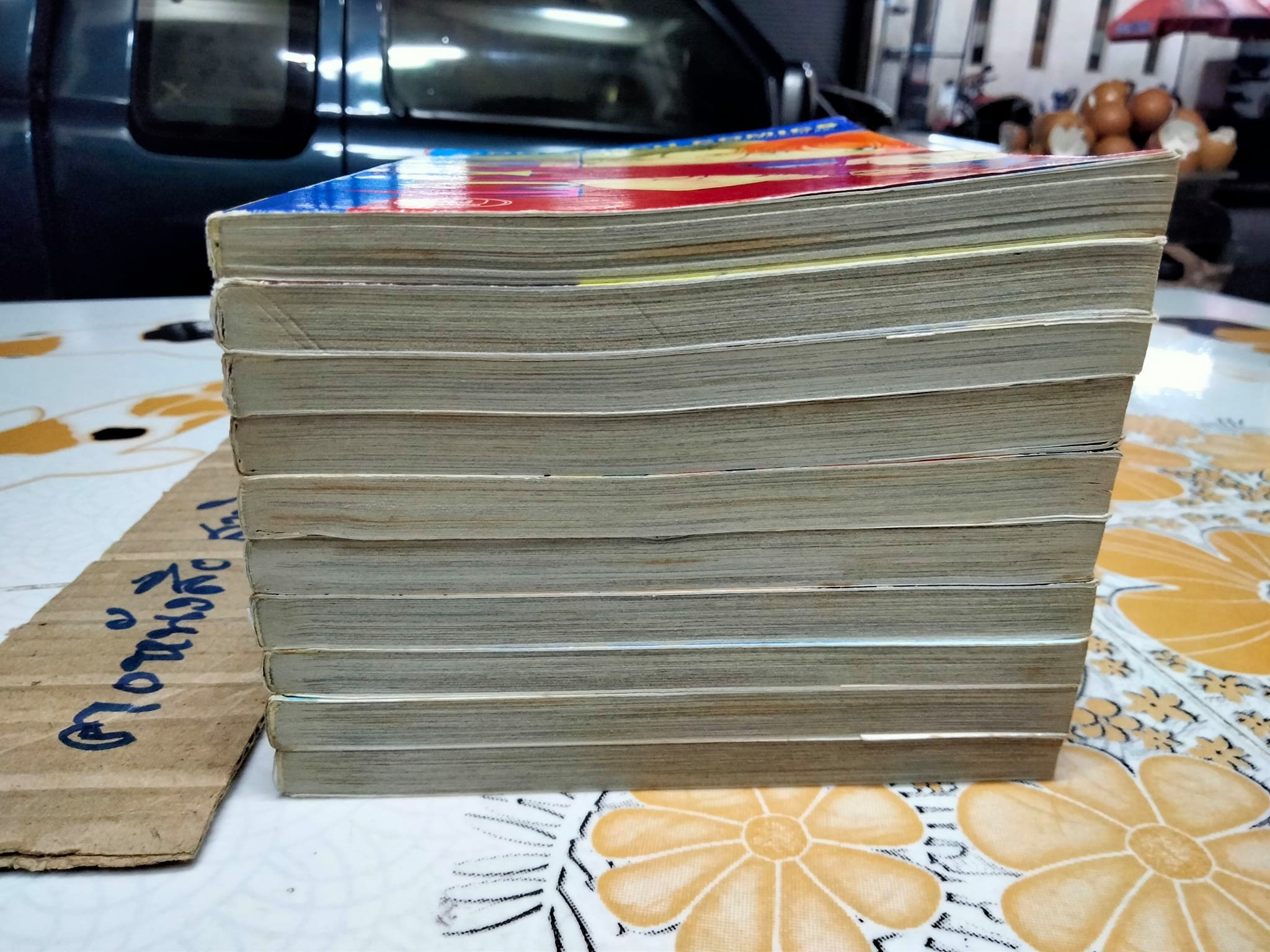 สะดุดรักสาวจอมโจร (WILD ACT) - 10 เล่มจบ