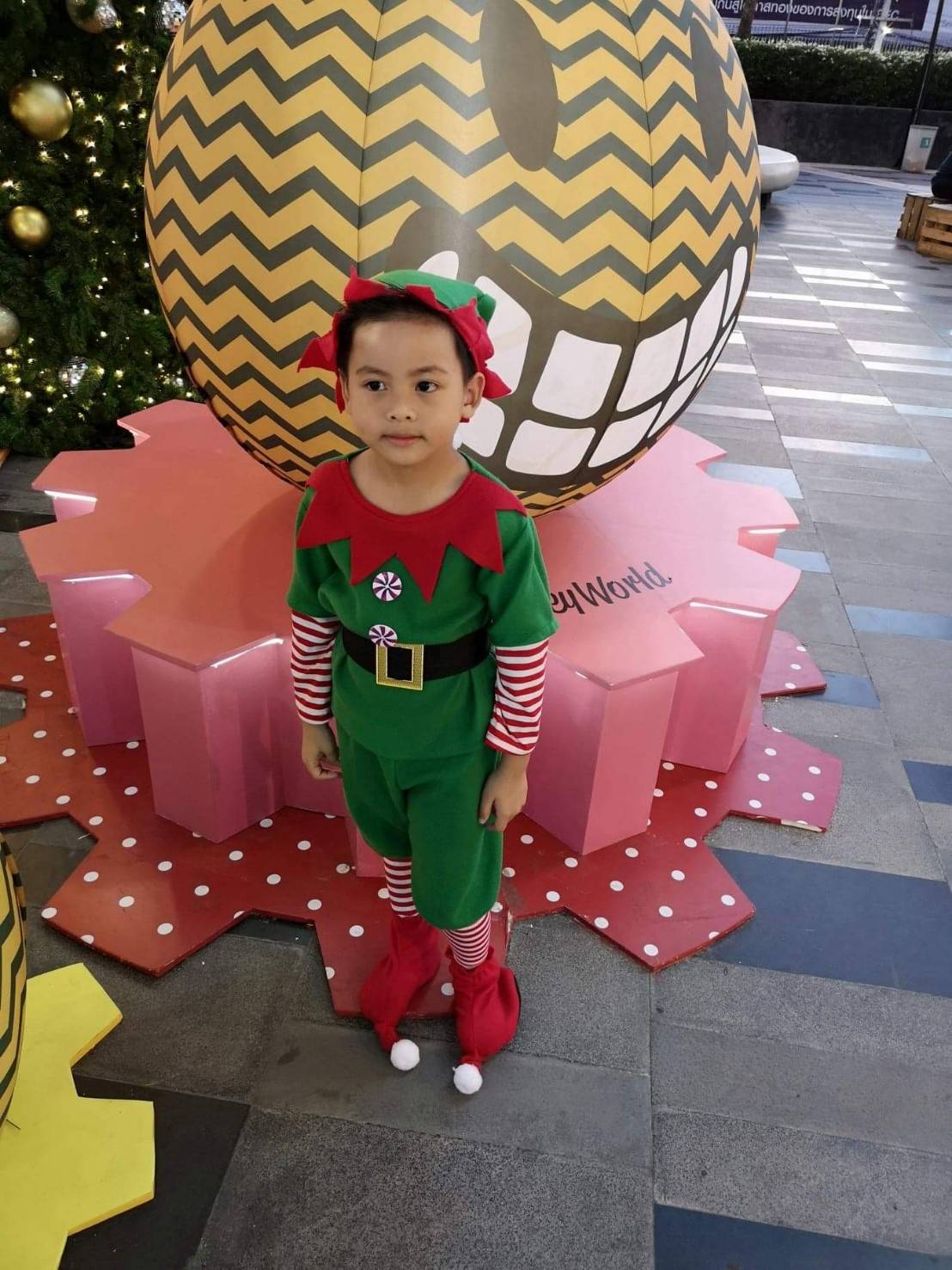 ชุดแฟนซีเด็ก ผู้ใหญ่ เอลฟ์ชายหญิง