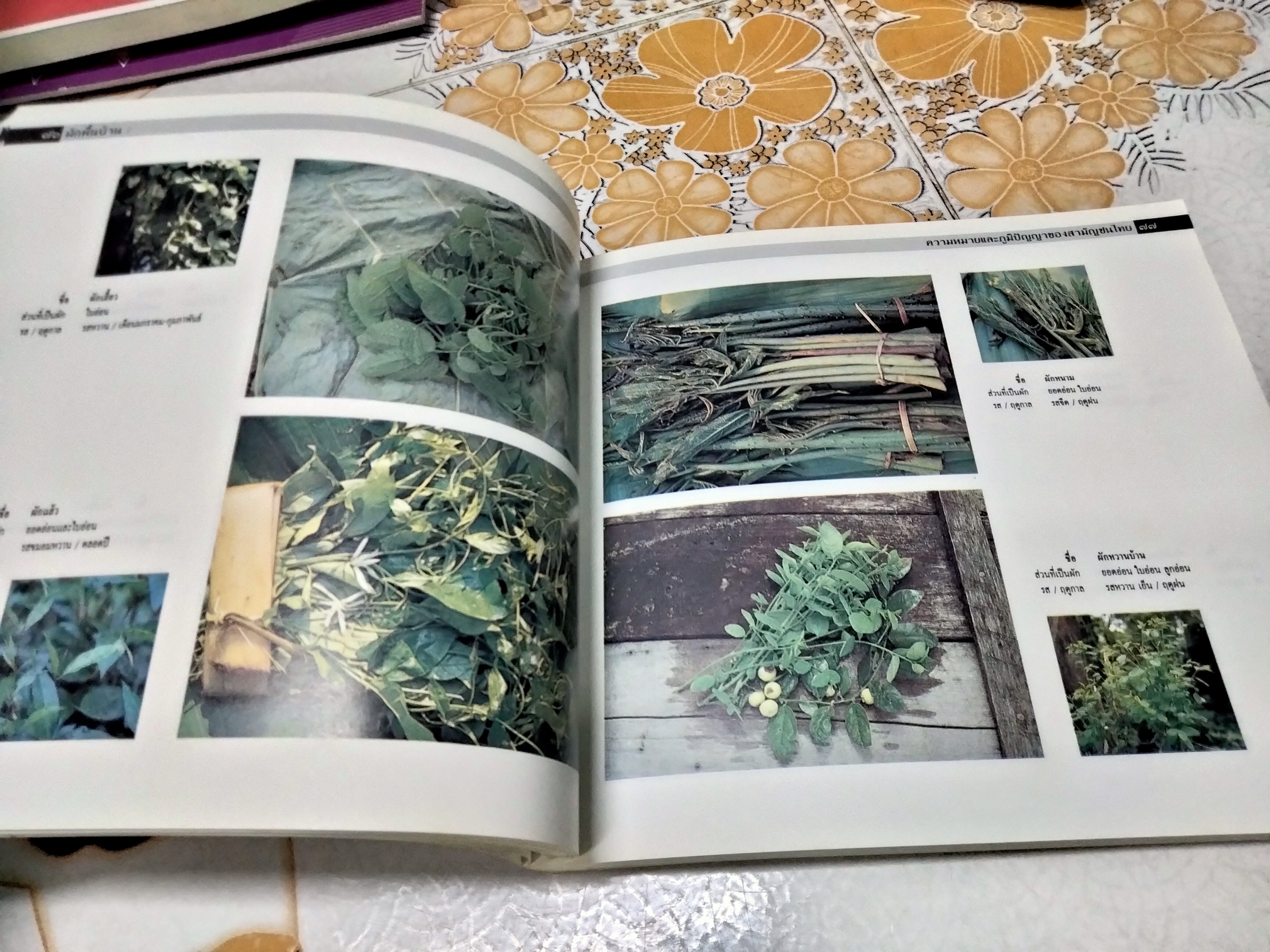 ผักพื้นบ้าน ความหมายและภูมิปัญญาของสามัญชนไทย โดย สถาบันการแพทย์แผนไทย กรมการแพทย์ กระทรวงสาธารณสุข