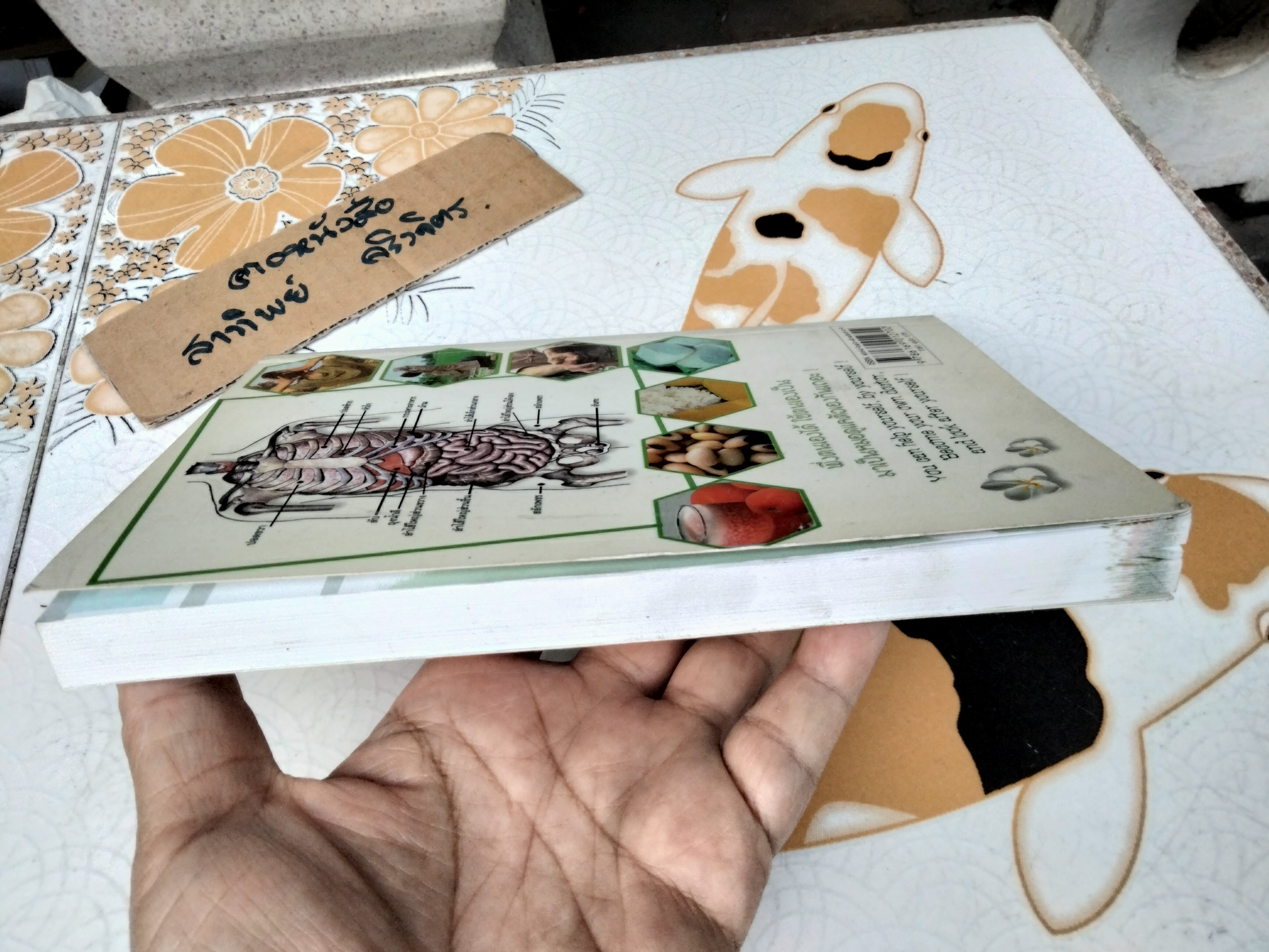 ถอดรหัสสุขภาพ เล่ม 3 มาเป็นหมอดูแลตัวเองกันเถอะ โดย หมอเขียว (ใจเพชร กล้าจน)