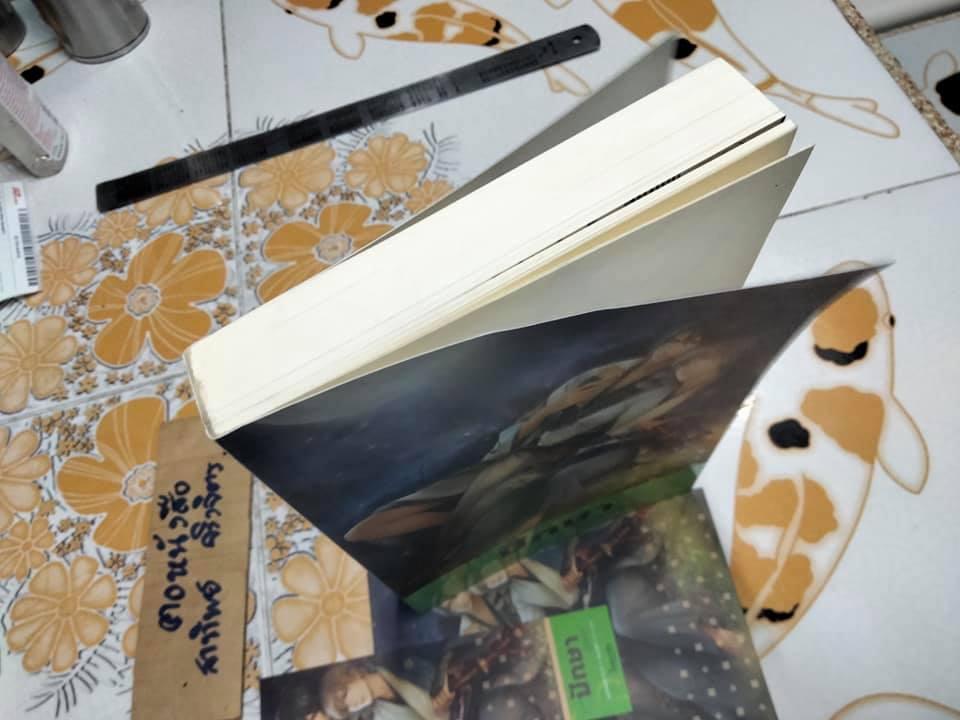 ปักษาปีกหัก - Author RUK