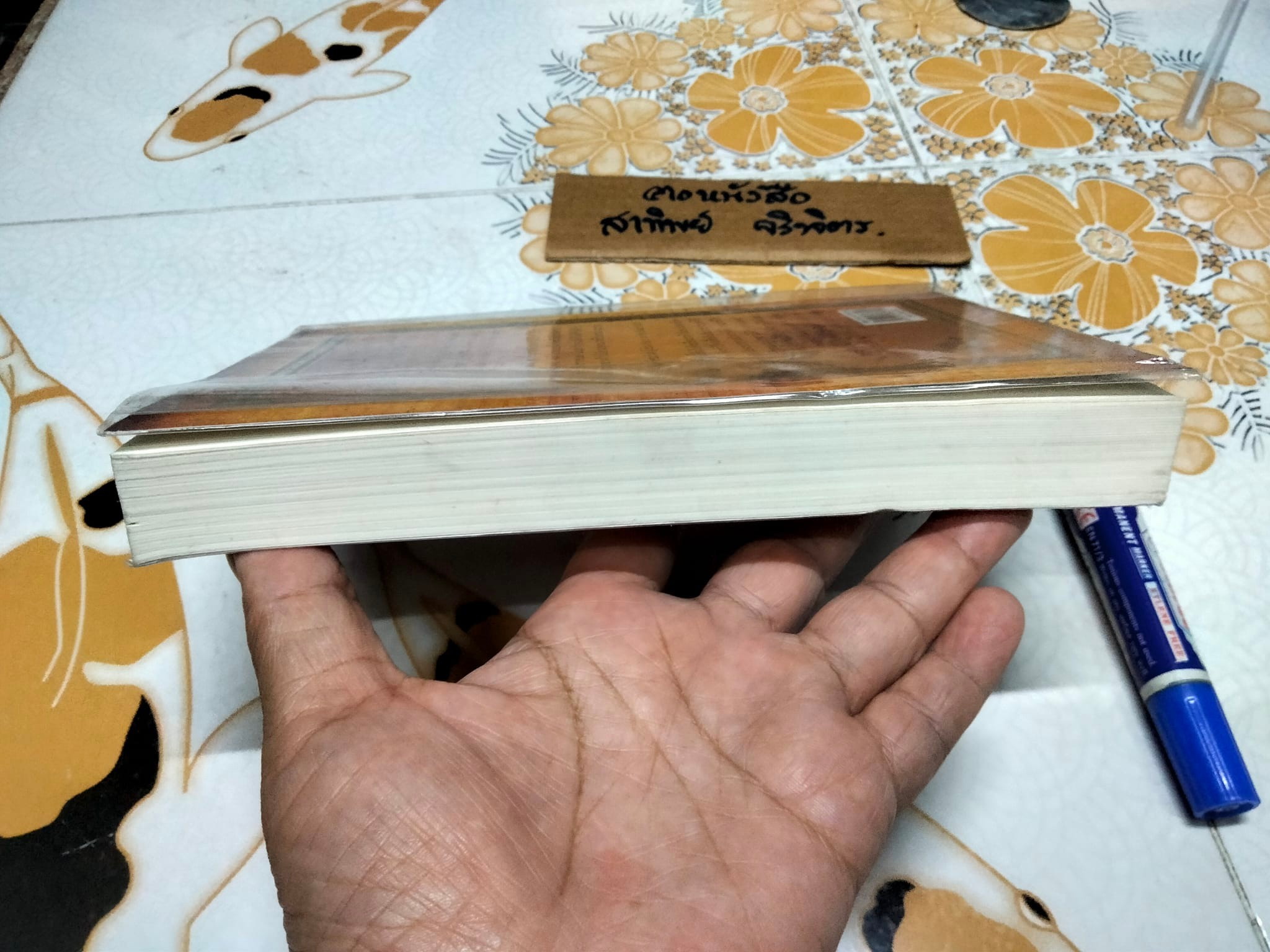 บทเรียนชีวิตเพื่อเก่งกฎดึงดูด โดย แจ๊ด แคนฟีลด์ และ มาร์ก วิคเตอร์ แฮนเซ่น จีนนา กาเบลลินี่ และอีวา เกรกอรี่ เขียน - อัญชลี วิทยะ แปล (มีคราบน้ำจางๆ) **สินค้าหมด**