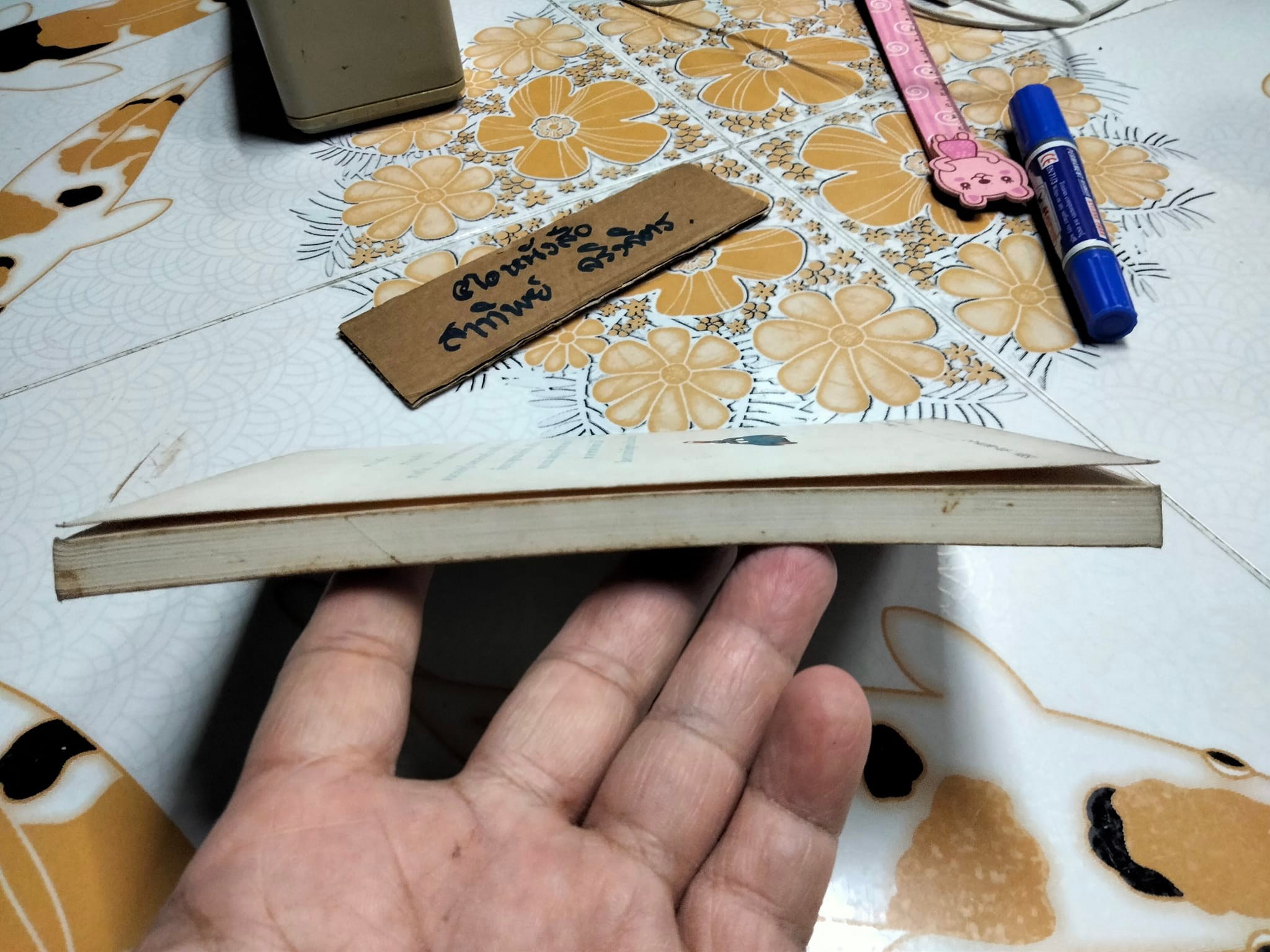 ครอบครัวรถสีฟ้า Aurora and the Little Blue Car - Anne . Cath. Vestly เขียน - อ้อยควั่น แปล **สินค้าหมด**