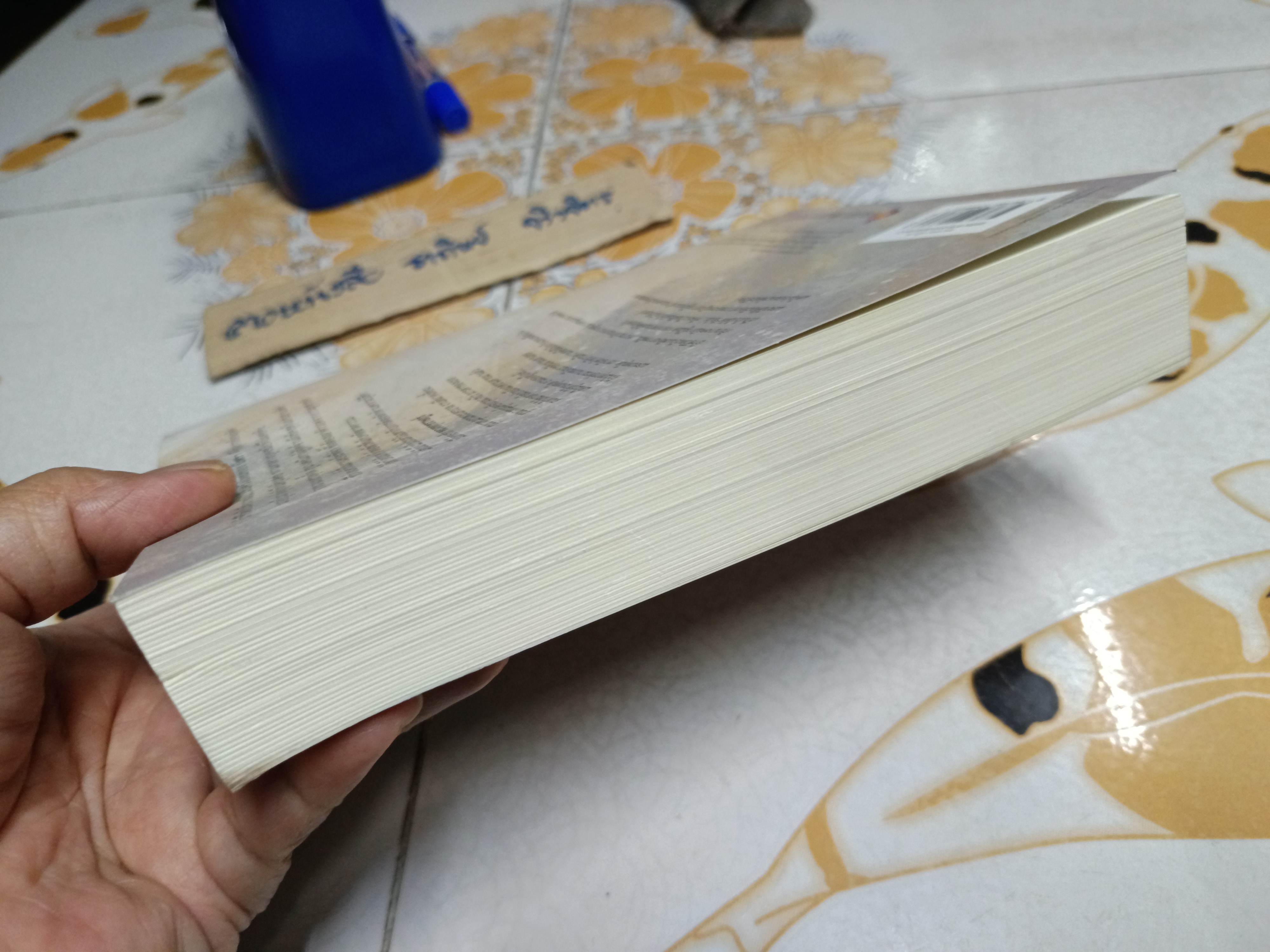 คุณพี่เจ้าขา... ดิฉันเป็นห่าน มิใช่หงส์ + ที่คั่น เป็นหนึ่ง สนพ. พิมพ์ครั้งแรก พ.ศ 2565 **สินค้าหมด**