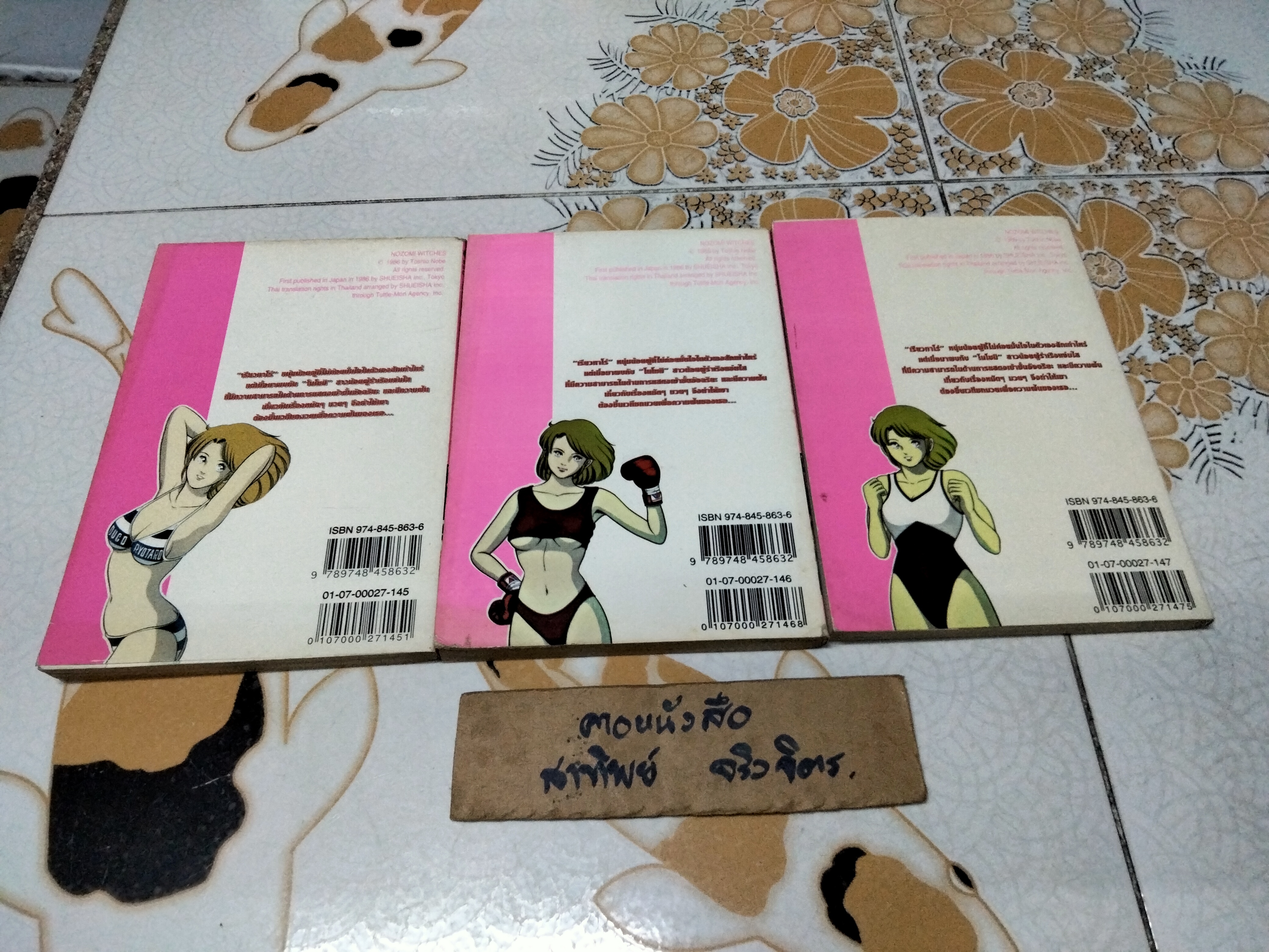 หนุ่มห้าวสาวเปรี้ยว (1-15 สนพ.หมึกจีน) + หมัดสั่งสร้างฝัน (เล่มที่ 45,46,47 สยามอินเตอร์ฯ)