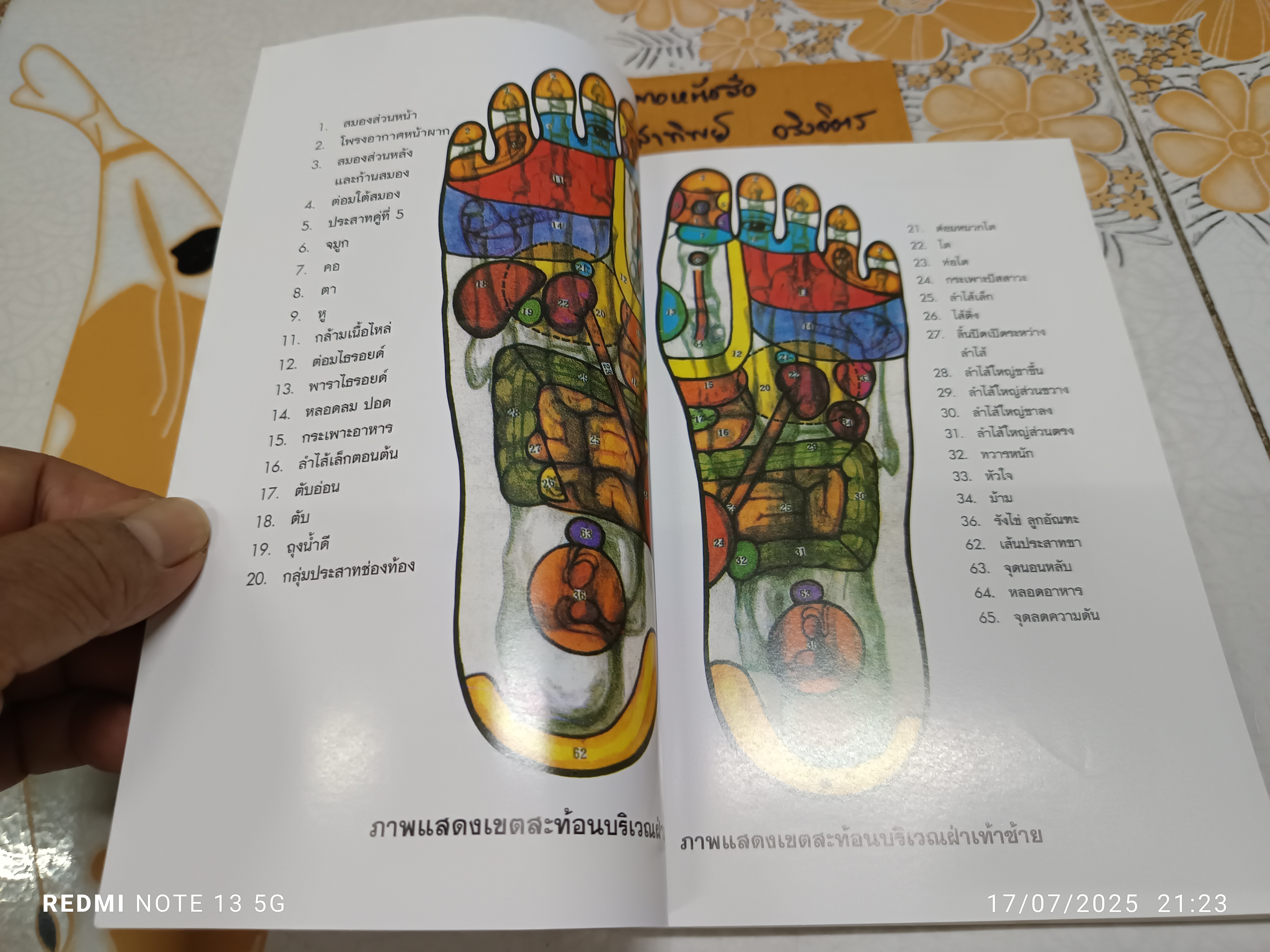 ศาสตร์แห่งเท้า โดย แพทย์จีนสุเชาว์ เพียรเชาว์กุล พิมพ์ครั้งที่ 4/2549 สำนักพิมพ์สุขภาพใจ