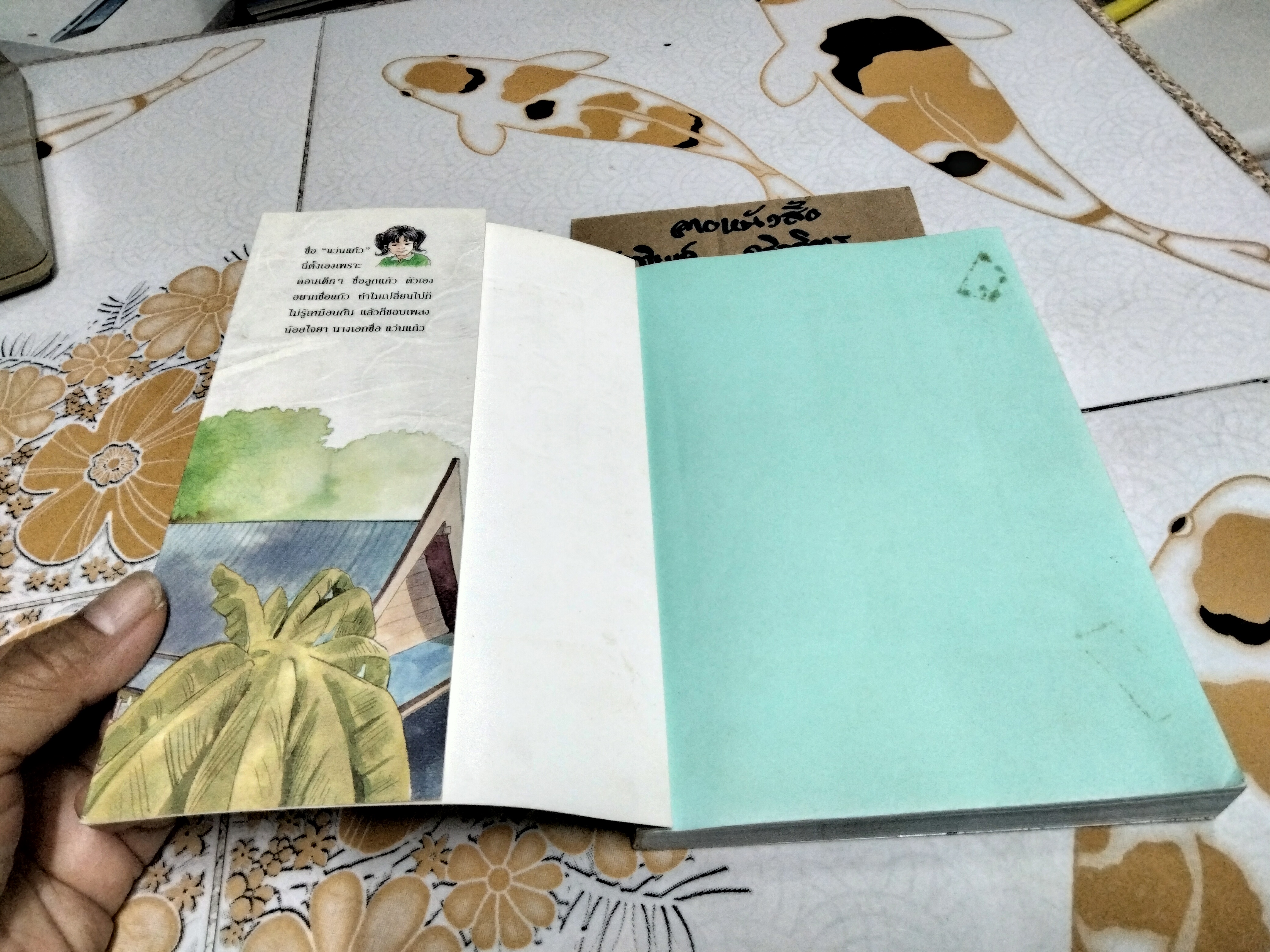 แก้วจอมซน โดย แว่นแก้ว (พิมพ์ครั้งที่ 13/2544)