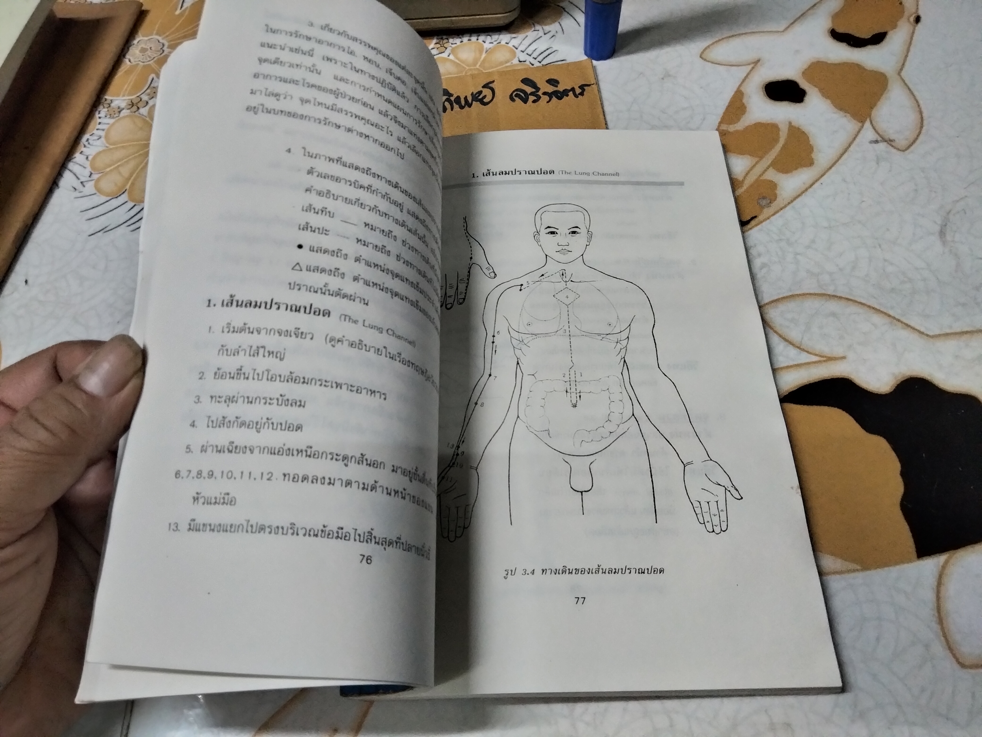 แทงเข็ม - คู่มือพื้นฐานการแทงเข็ม โดย อภิชัย ชัยดรุณ , วิทวัส วัณนาวิบูล และ เผด็จ เอี่ยมแสงธรรม พิมพ์ครั้งแรก พ.ศ 2532 สนพ.ยินหยาง **สินค้าหมด**