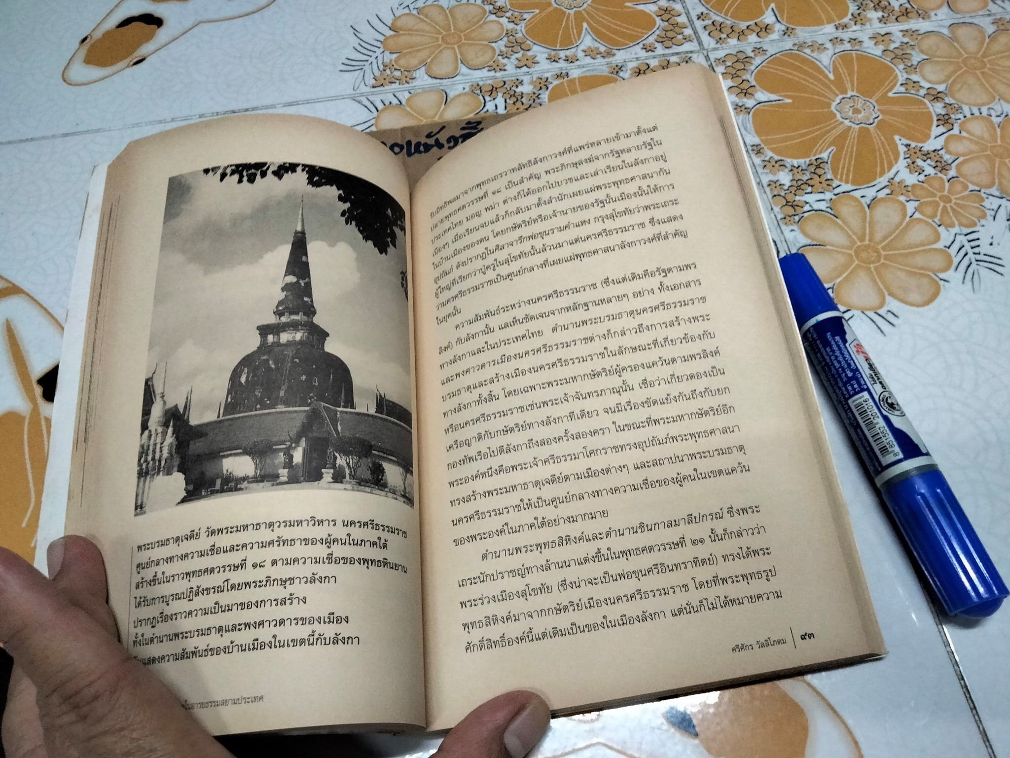 ความหมายพระบรมธาตุในอารยธรรมสยามประเทศ โดย อ.ศรีศักร วัลลิโภดม **สินค้าหมด**