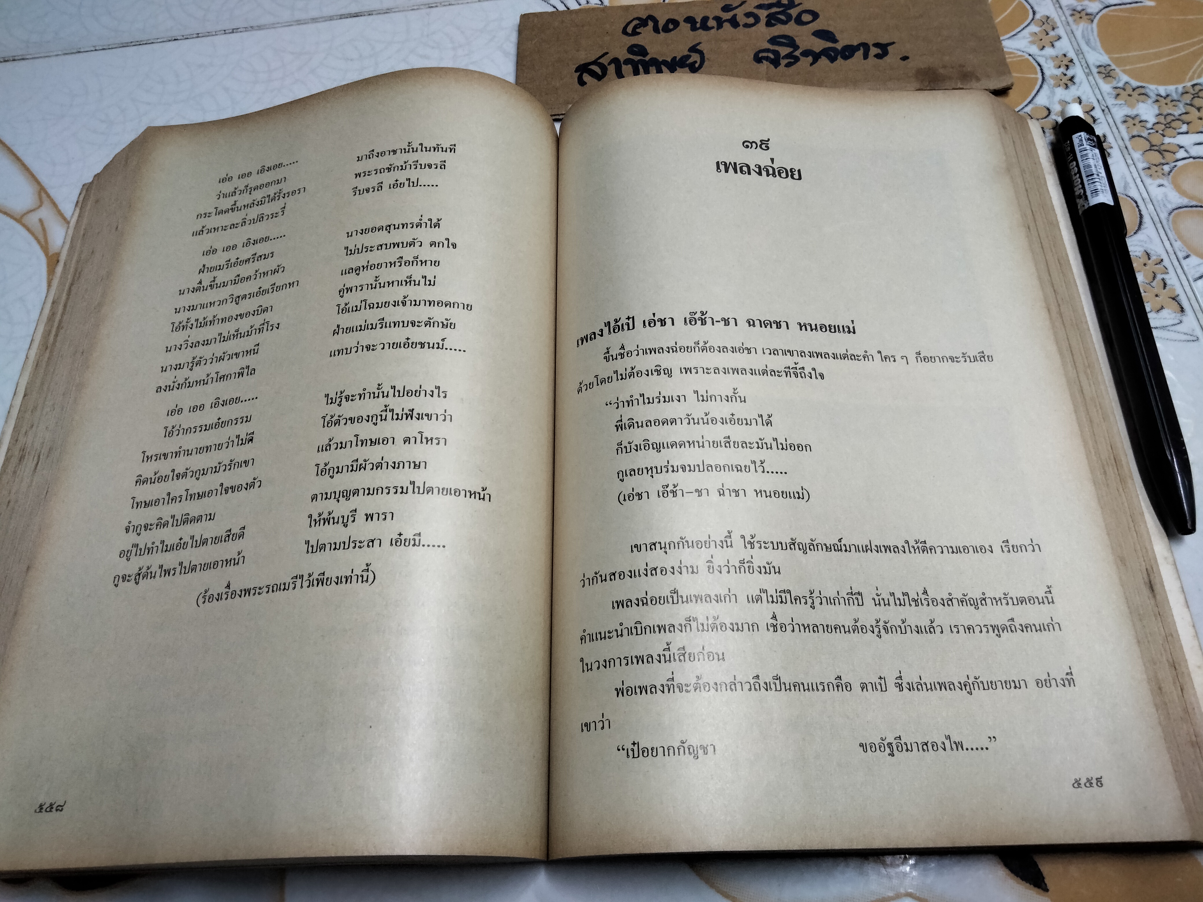 เพลงนอกศตวรรษ โดย เอนก นาวิกมูล