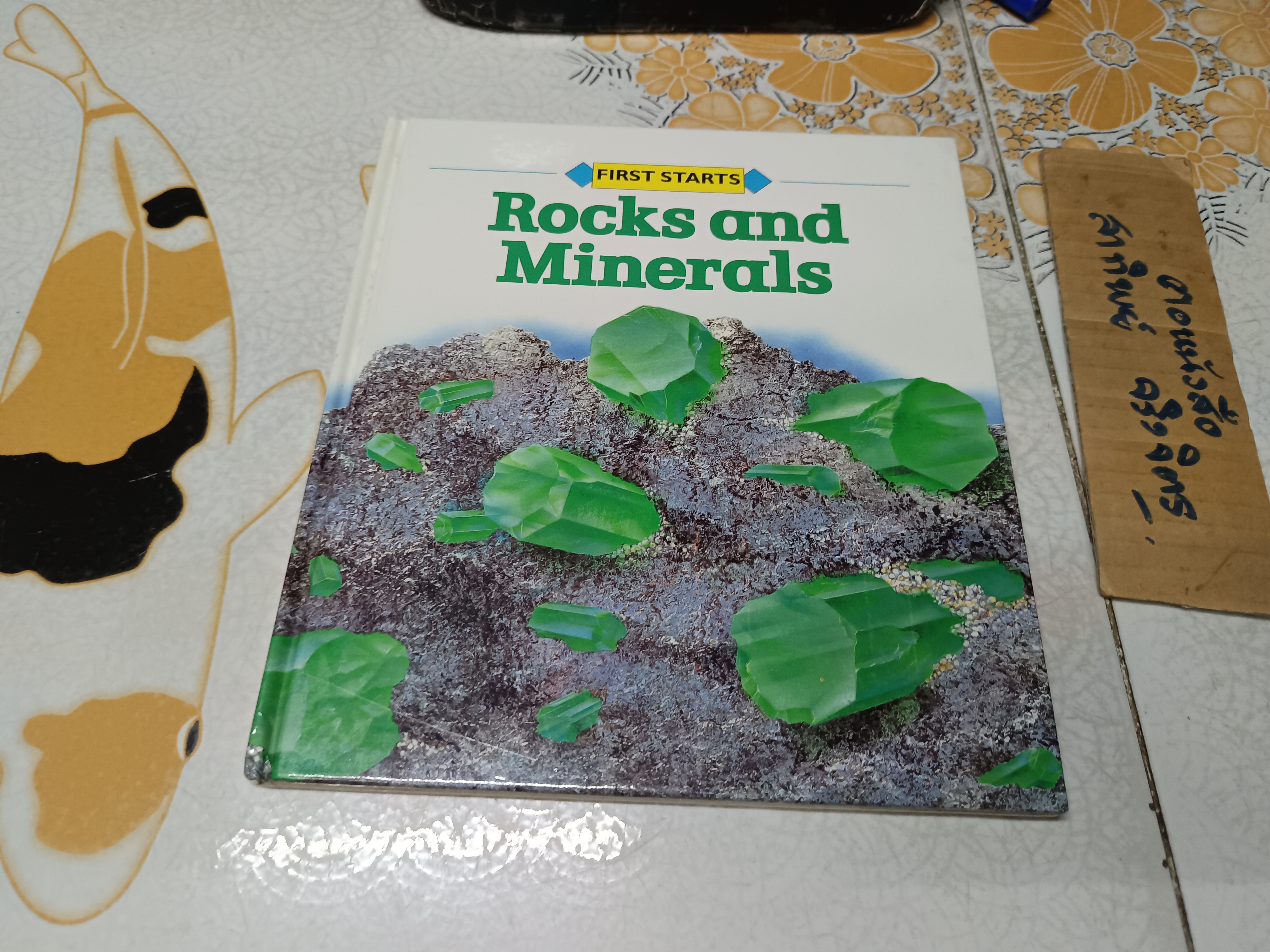 FIRST STARTS / WATTS BOOKS หนังสือภาพภาษาอังกฤษ ความรู้ (ปกแข็ง)