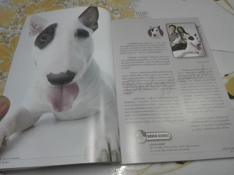 DOGS IN THE BOOK - 32 หมา...ที่คนอยากอวด