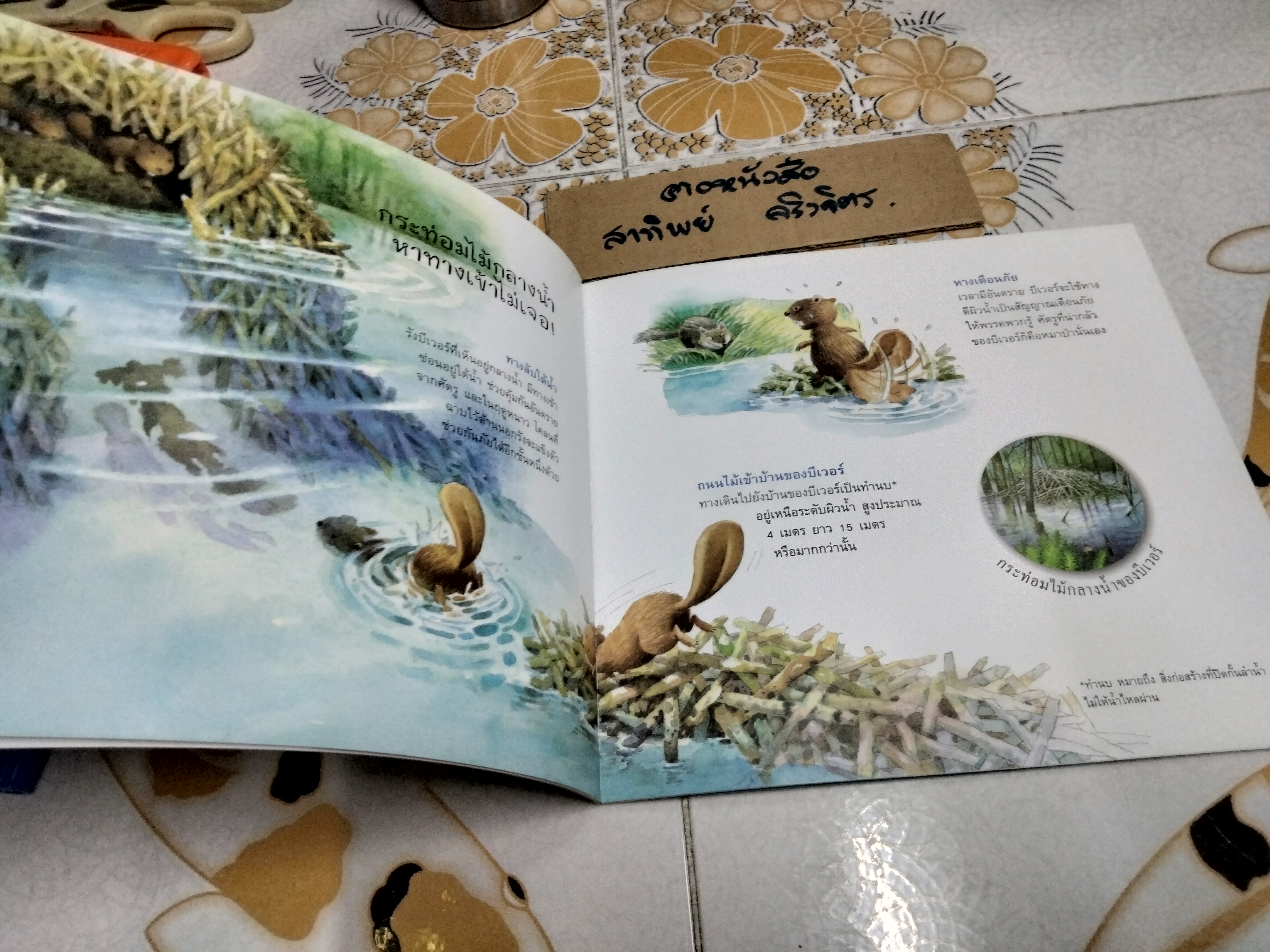 บ้านฉันมหัศจรรย์ (ชุดวิทยาศาสตร์รุ่นเยาว์-แปลกแต่จริง)