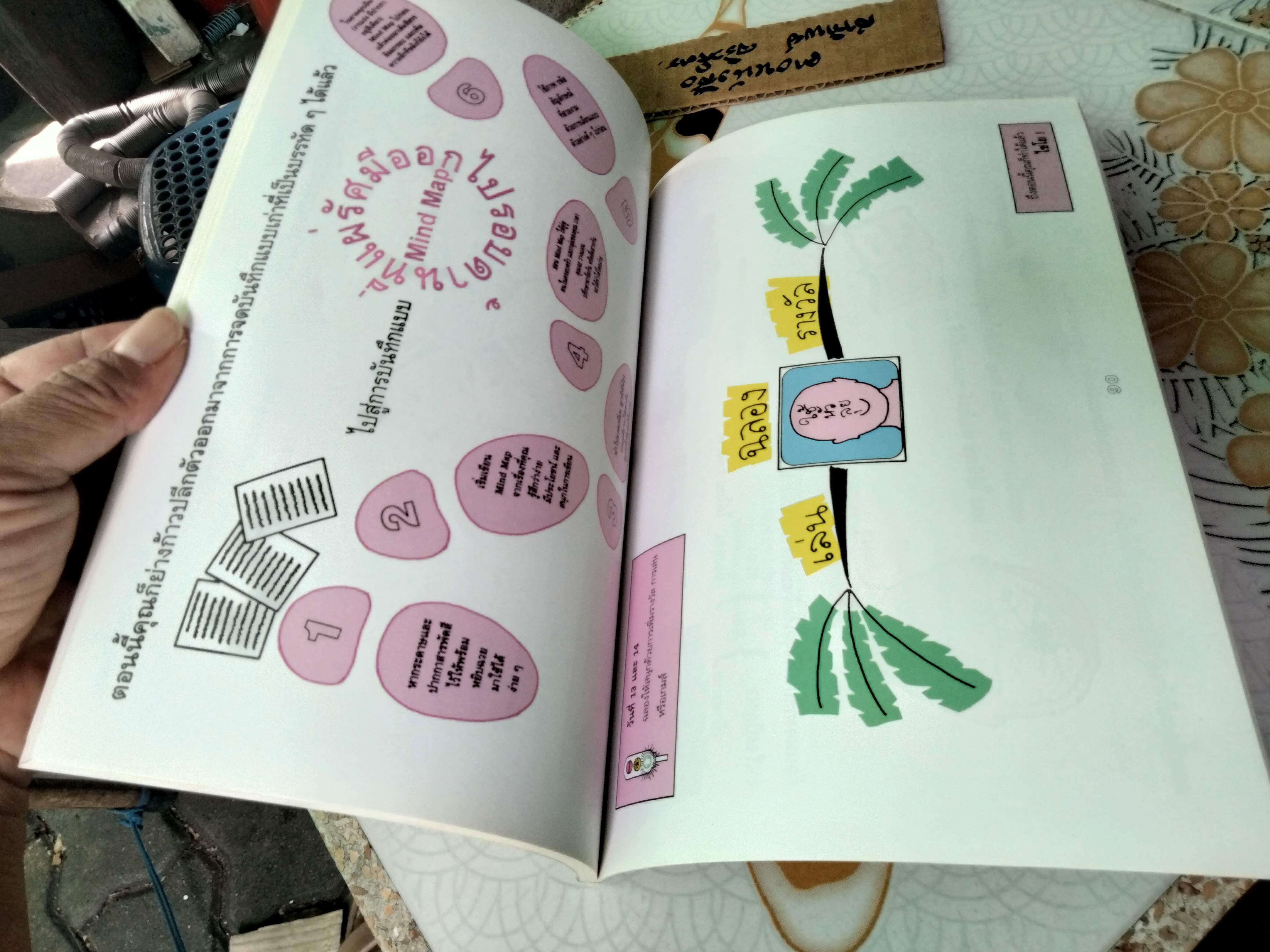 ใช้หัวลุย Mind Map ถนนไปสู่ความสำเร็จ Your Way to Success By Vanda North with Tony Buzan ธัญญา ผลอนันต์ แปล