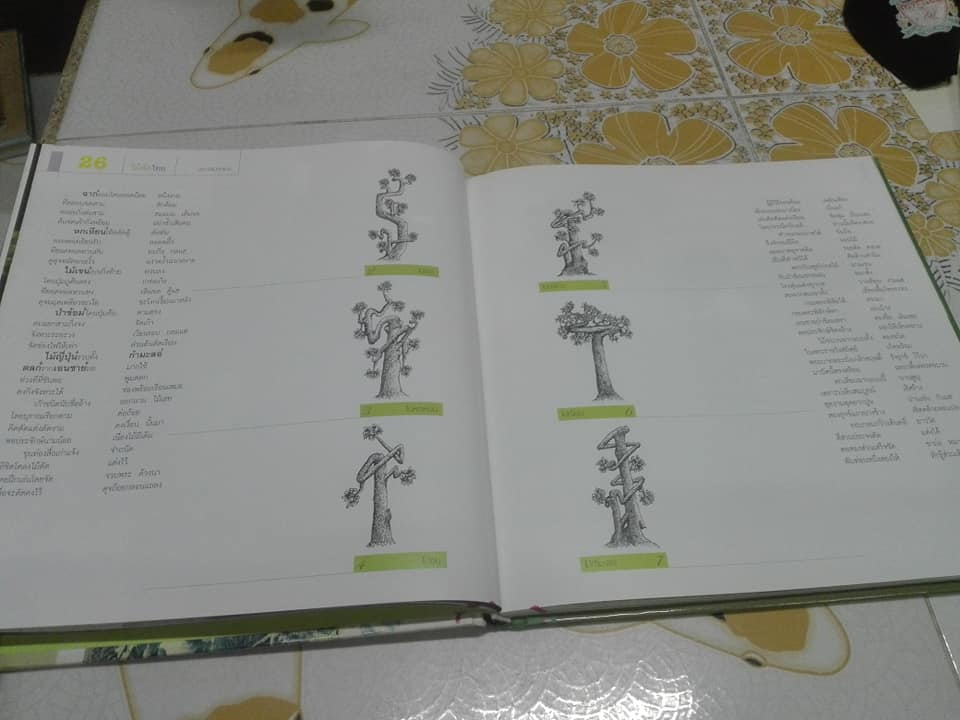 ไม้ดัดไทย (ปกแข็ง) โดย บัญชา เขมธร - ภูวดล น้ำดอกไม้ (มือหนึ่ง ในซีล) **สินค้าหมด**