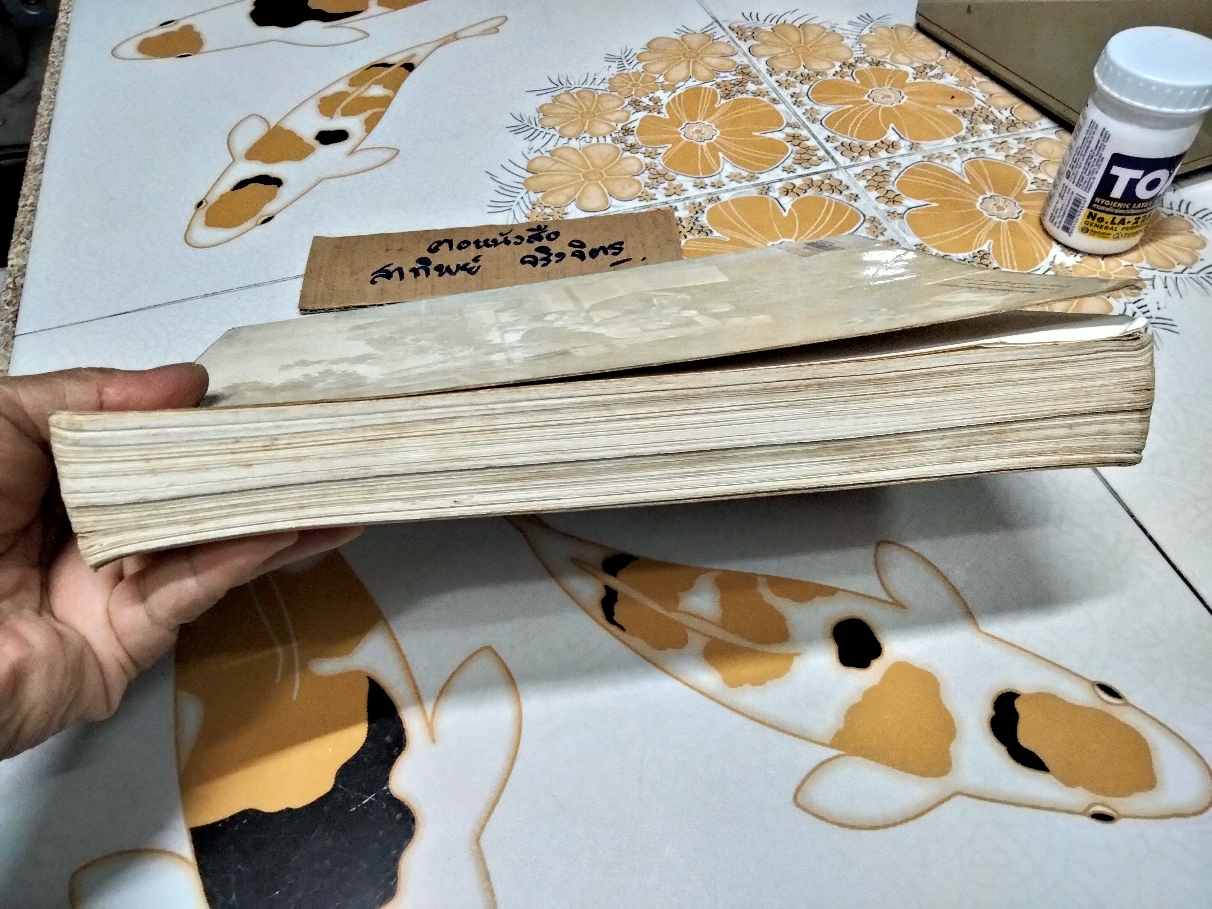 ประวัติวรรณคดีไทย โดย เปลื้อง ณ นคร (หนังสือสภาพพอใช้) **สินค้าหมด**