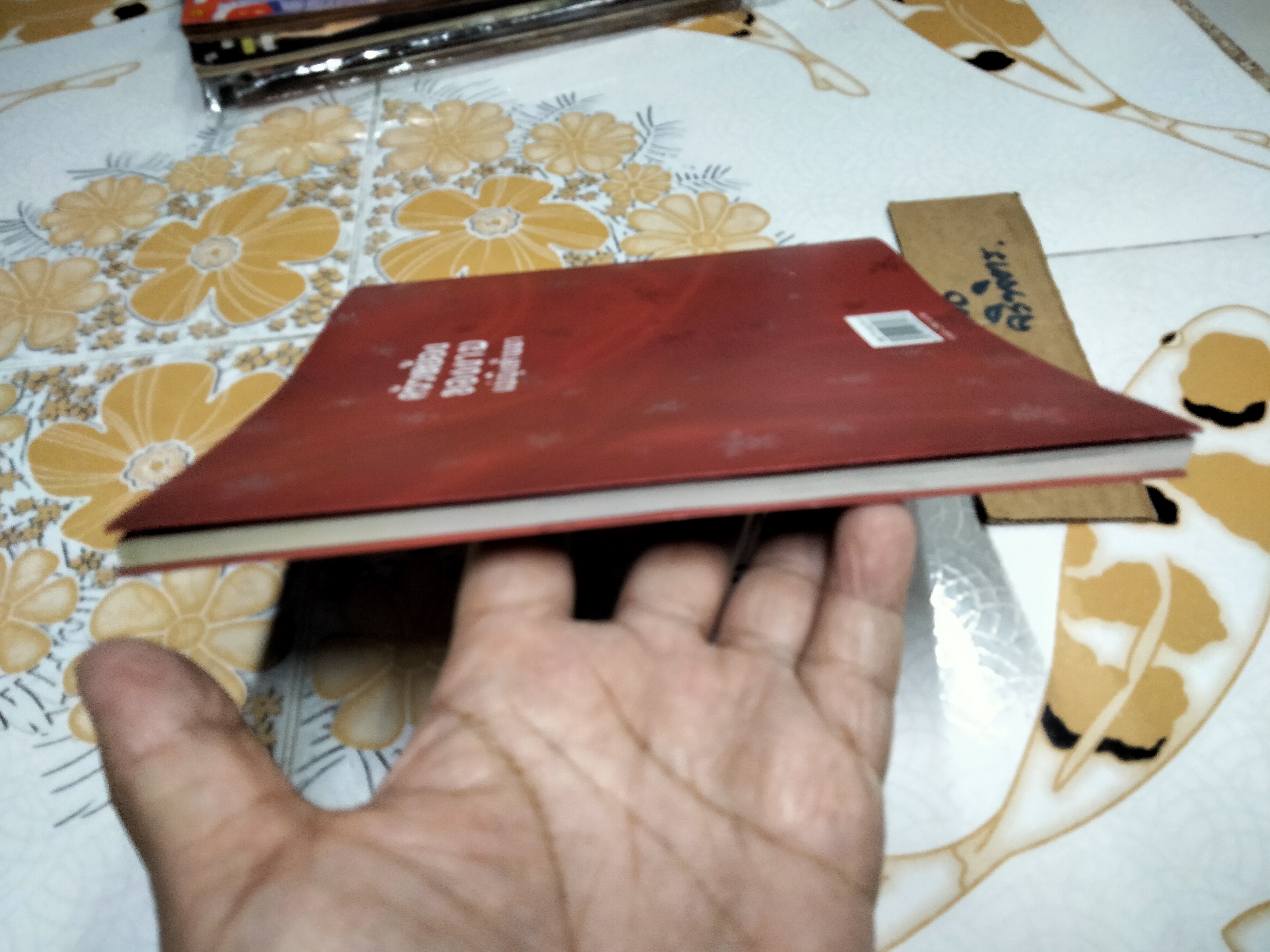 ครัวหย้องของงาม แม่ญิงล้านนา เรื่องโดย วิลักษณ์ ศรีป่าซาง **สินค้าหมด**