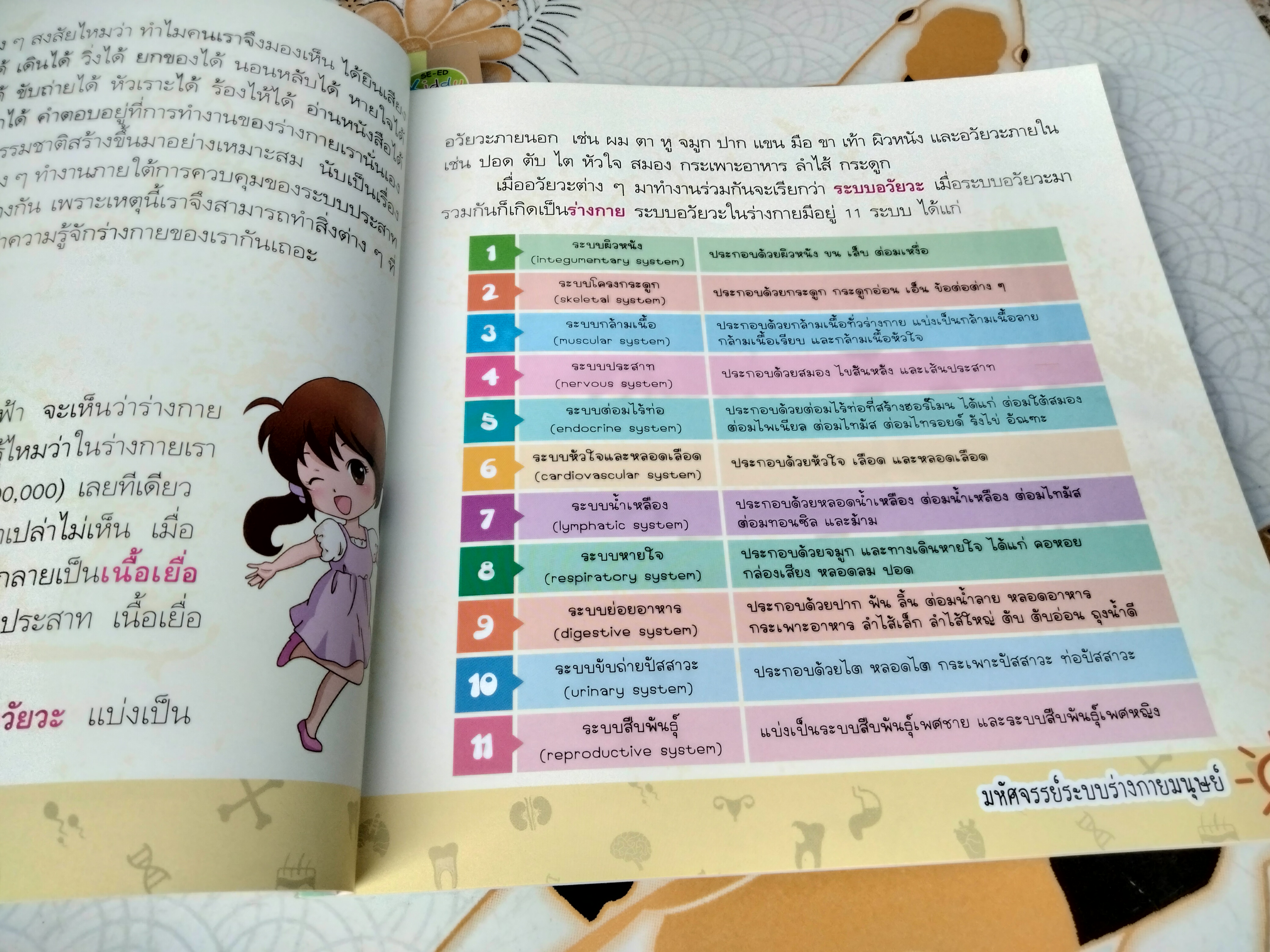 มหัศจรรย์ระบบร่างกายมนุษย์ Amazing Human Body - พ.ญ. ชัญวลี ศรีสุโข : หนังสือความรู้อิงหลักสูตรตรงกับกลุ่มสาระวิชาวิทยาศาสตร์ของ สพฐ.