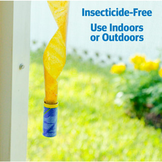 Raid® Fly Ribbons, Fly Traps for Indoors and Outdoors 10 Pack Cinta Para Moscas เทปกับดักแมลงวัน