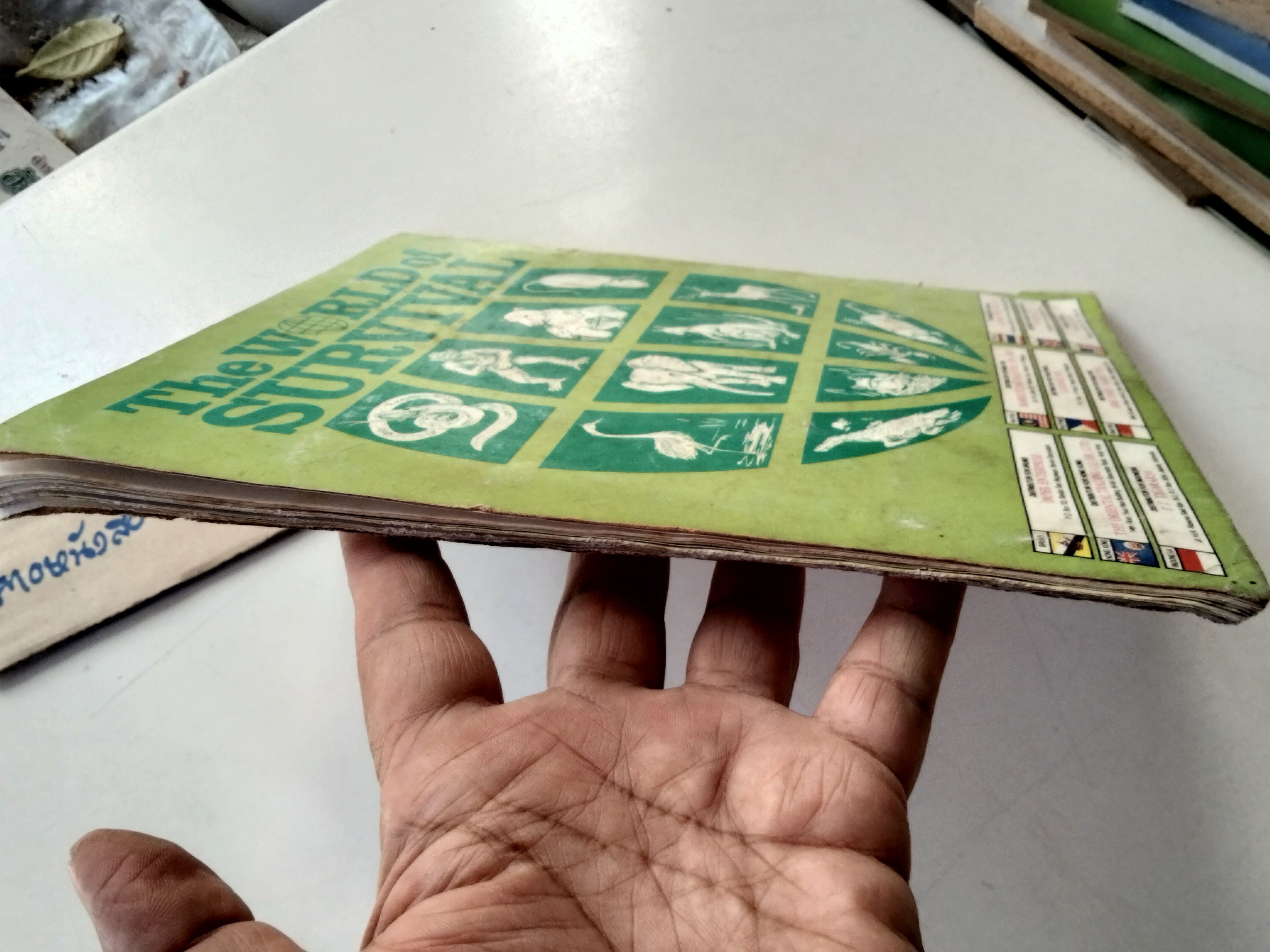 สมุดสะสมสติกเกอร์ ชีวิตสัตว์โลก (แปะครบ 240 รูป) หนังสือมือสอง สภาพพอใช้ **สินค้าหมด**