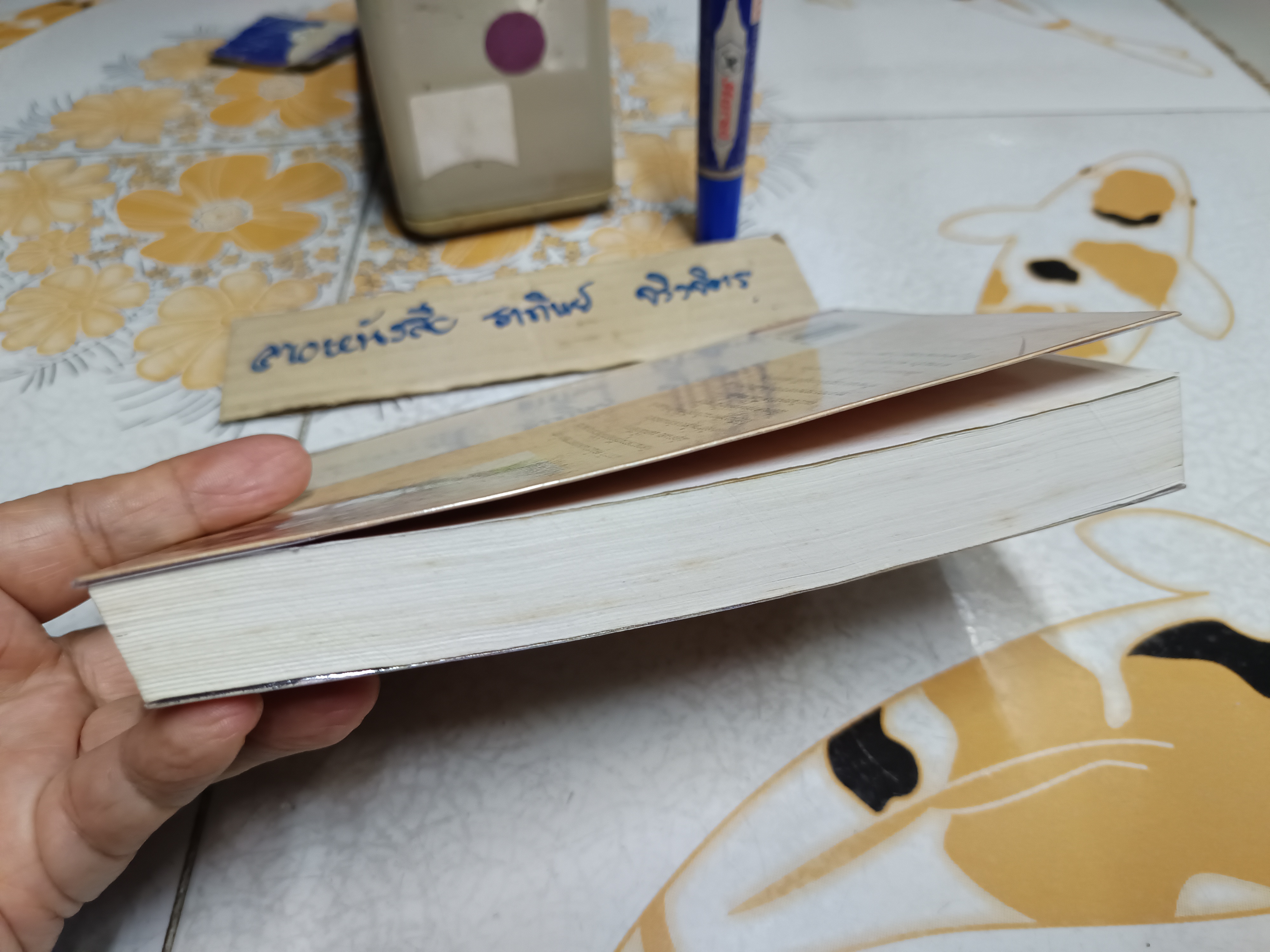 เสียงนกจากพราก : กฤษณา อโศกสิน